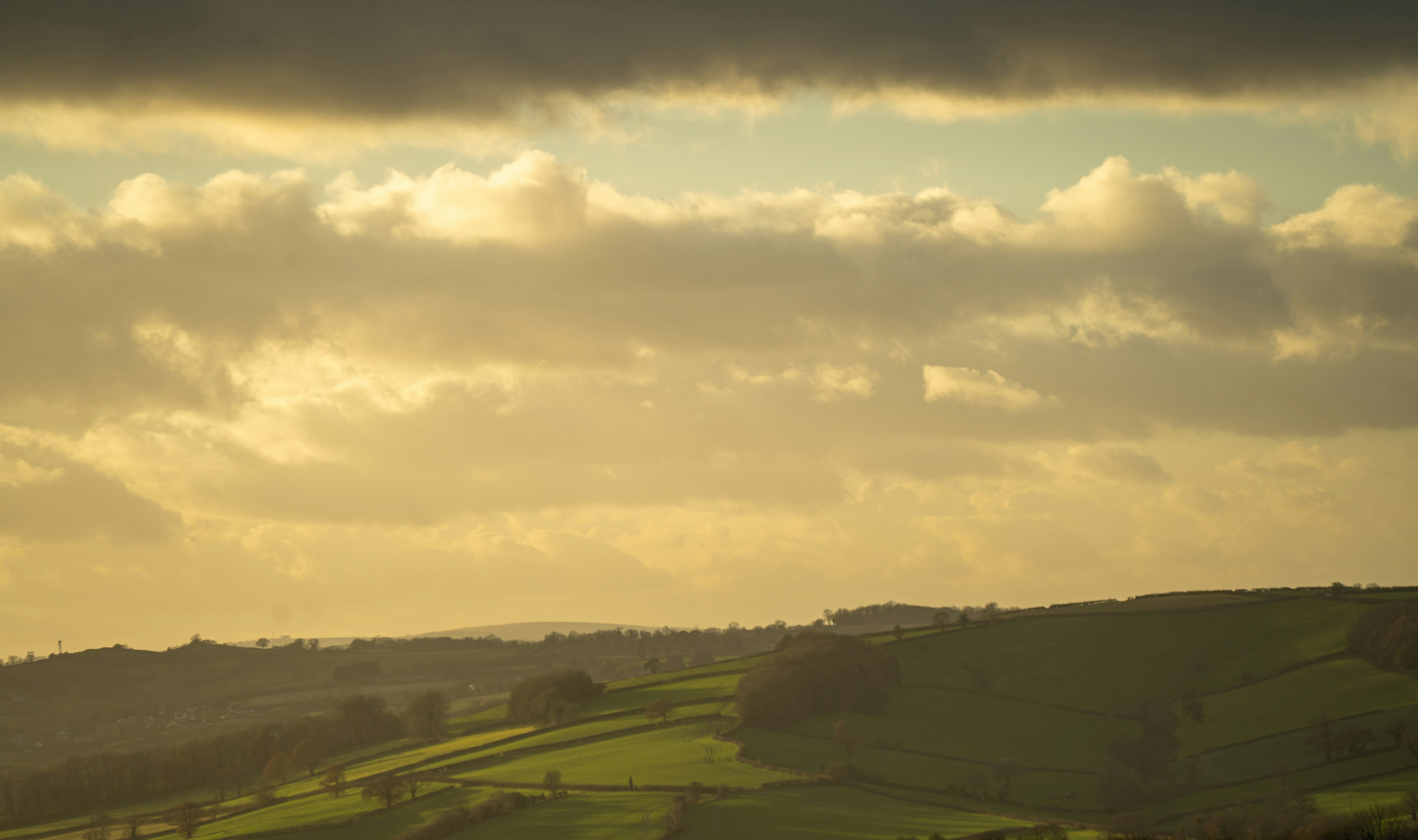 Photo by northernpaws