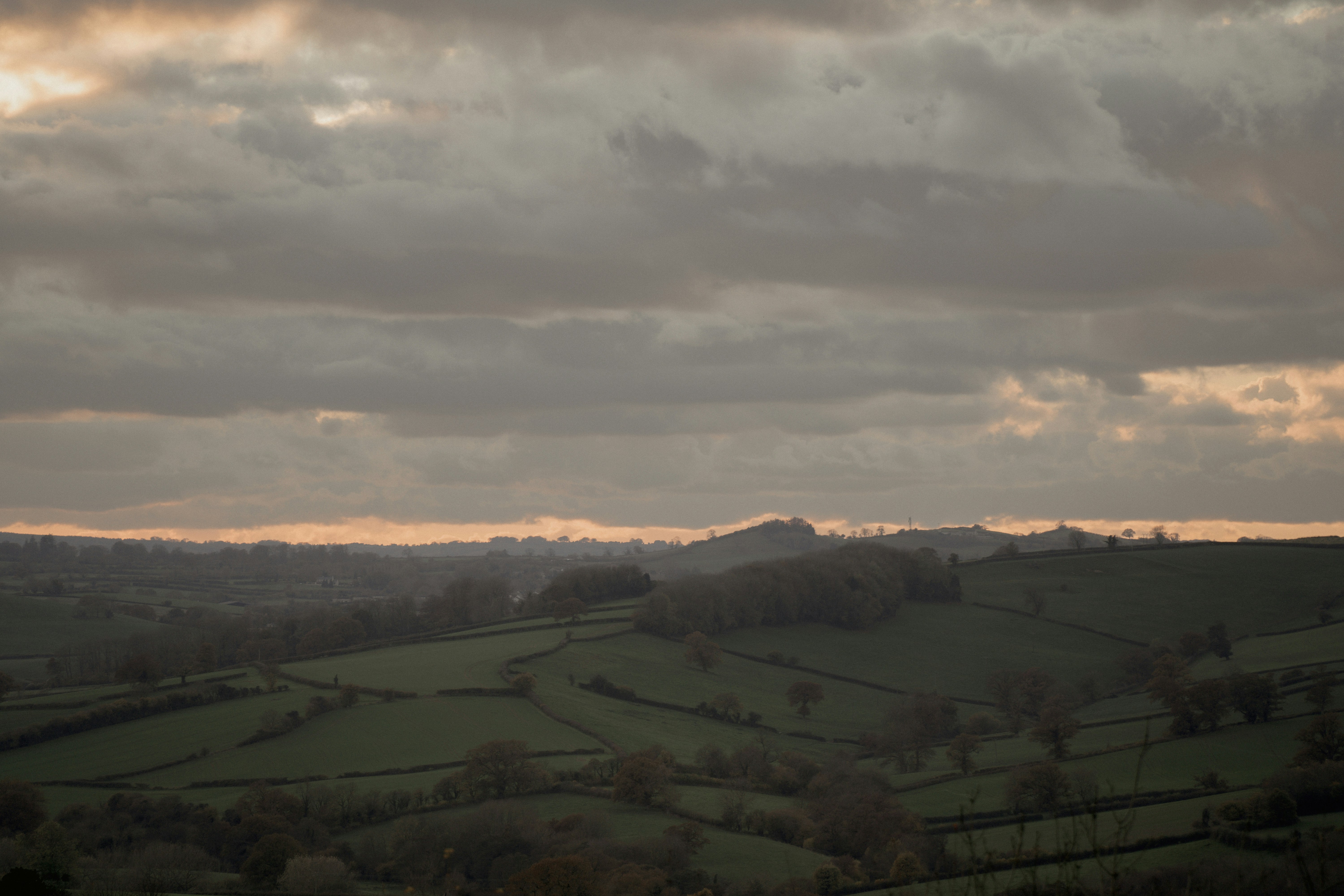 Photo by northernpaws