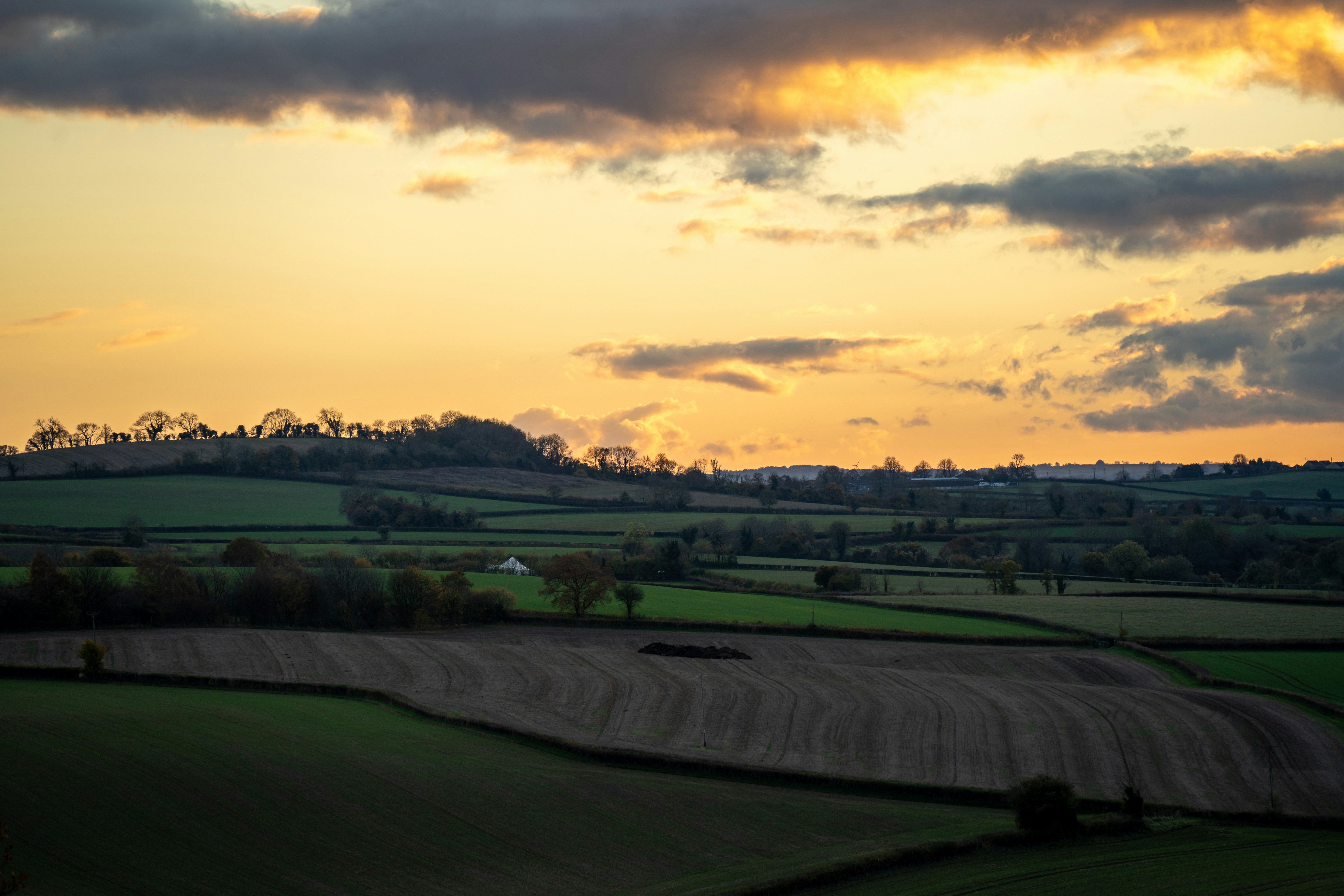 Photo by northernpaws