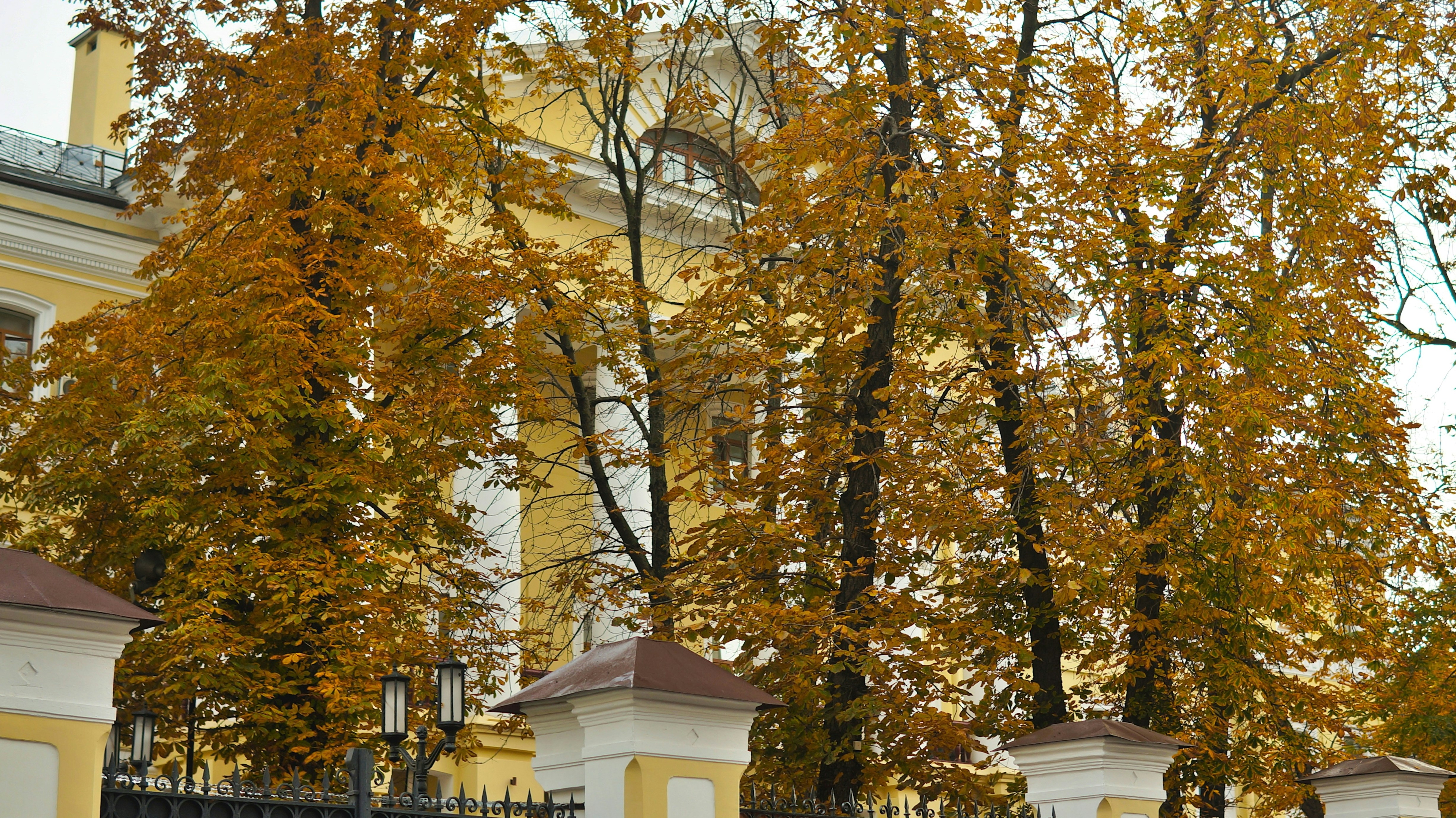 A yellow building with a black fence and trees