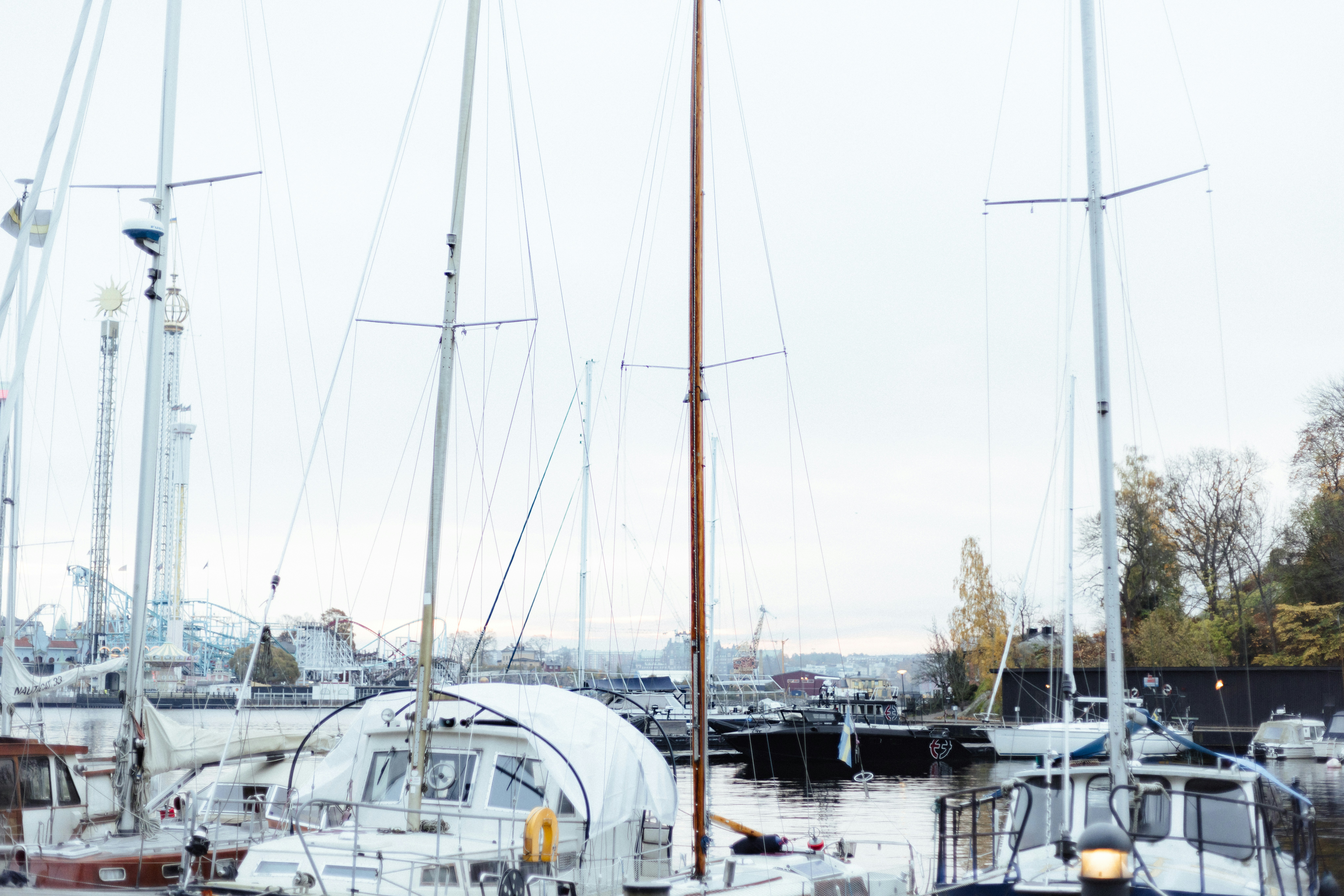 Photo by anniespratt