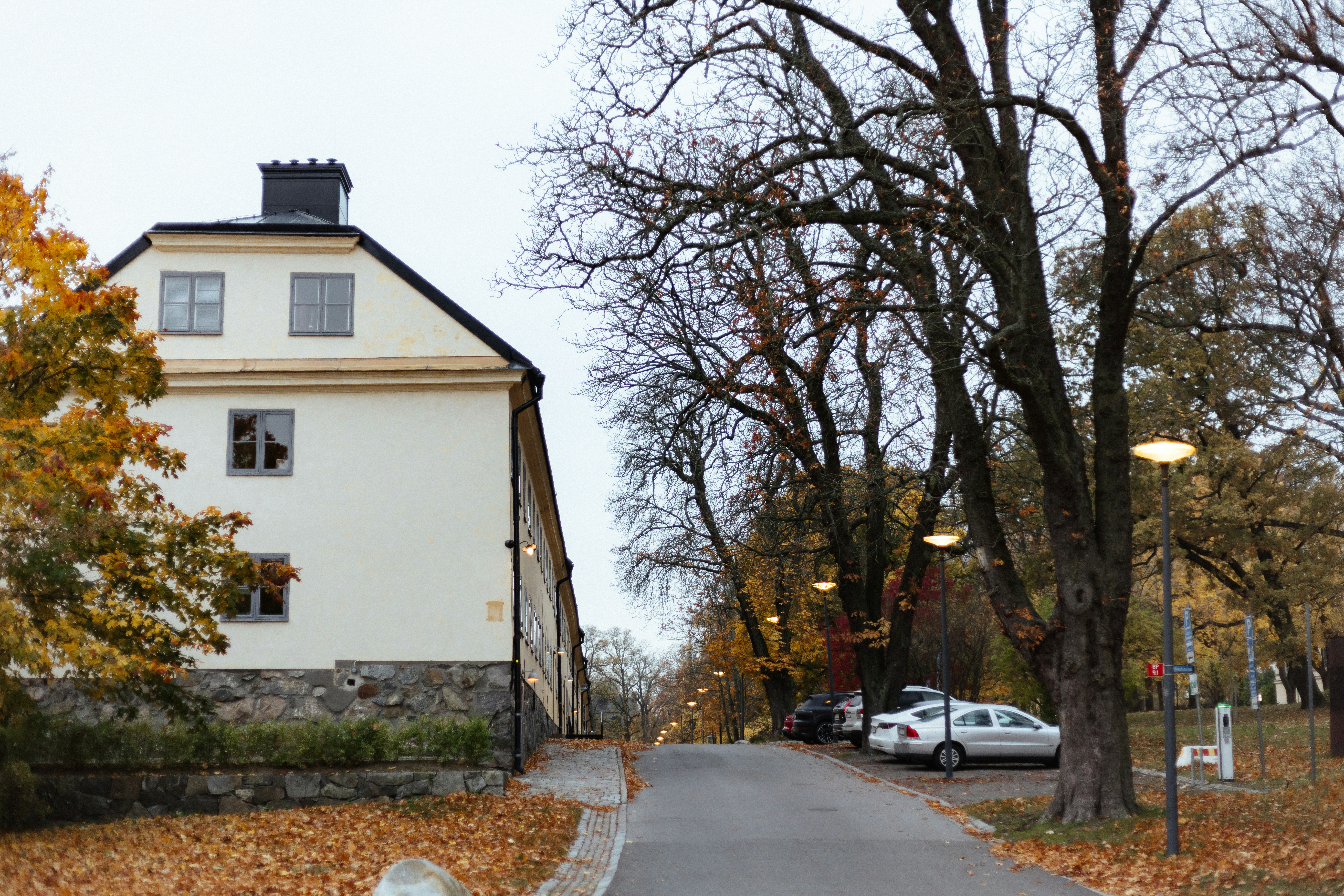 Photo by anniespratt