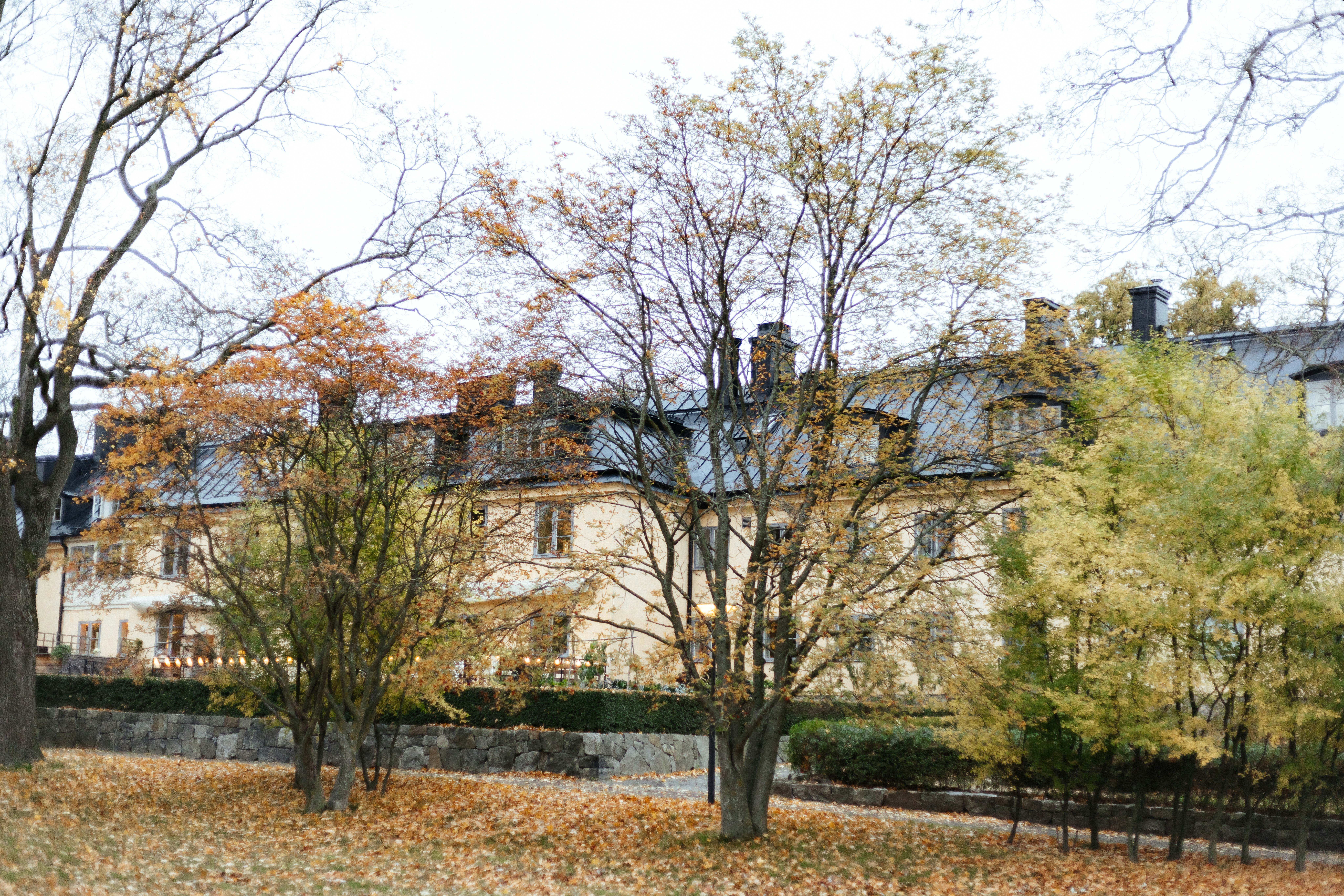 Photo by anniespratt