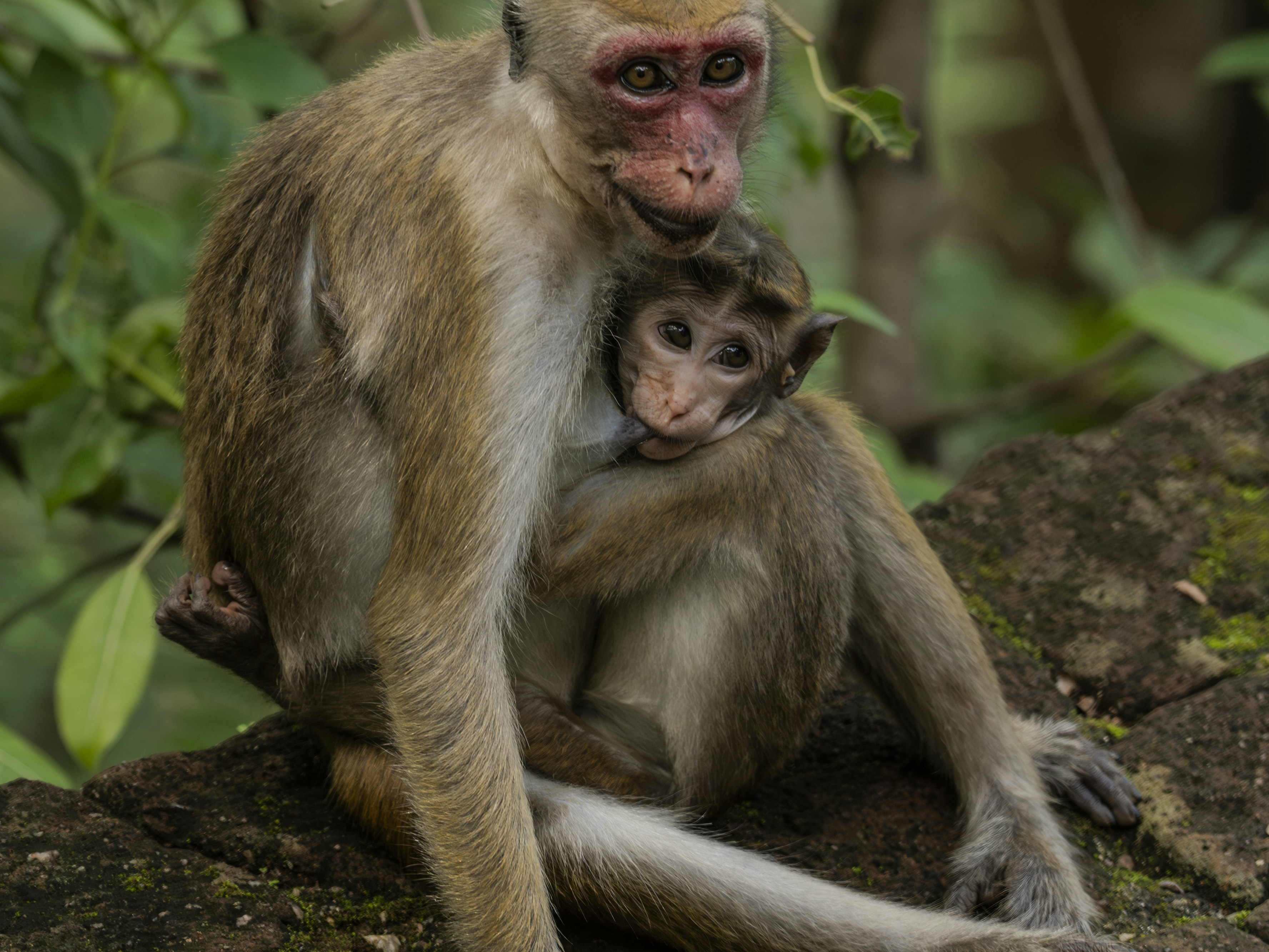 Photo by prasadmadusanka