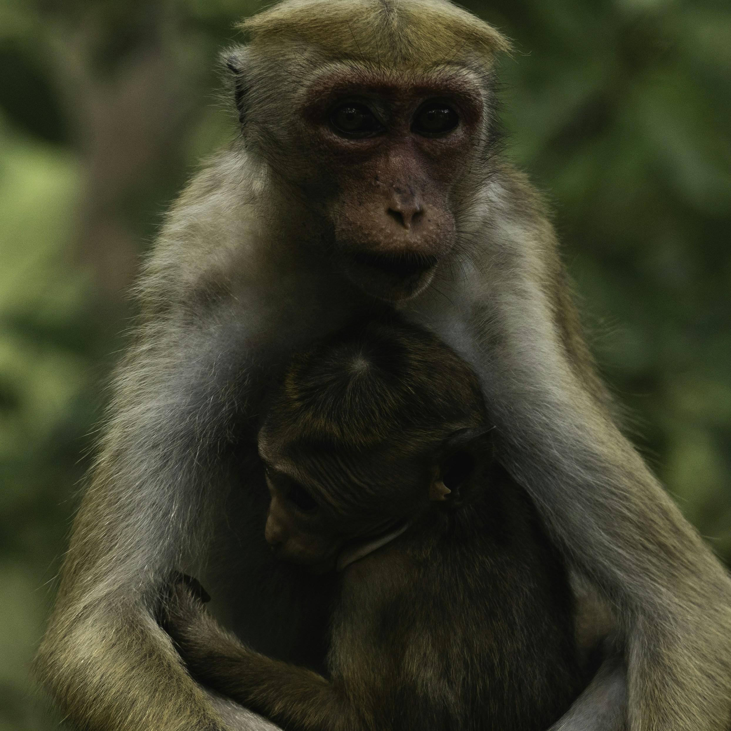 Photo by prasadmadusanka