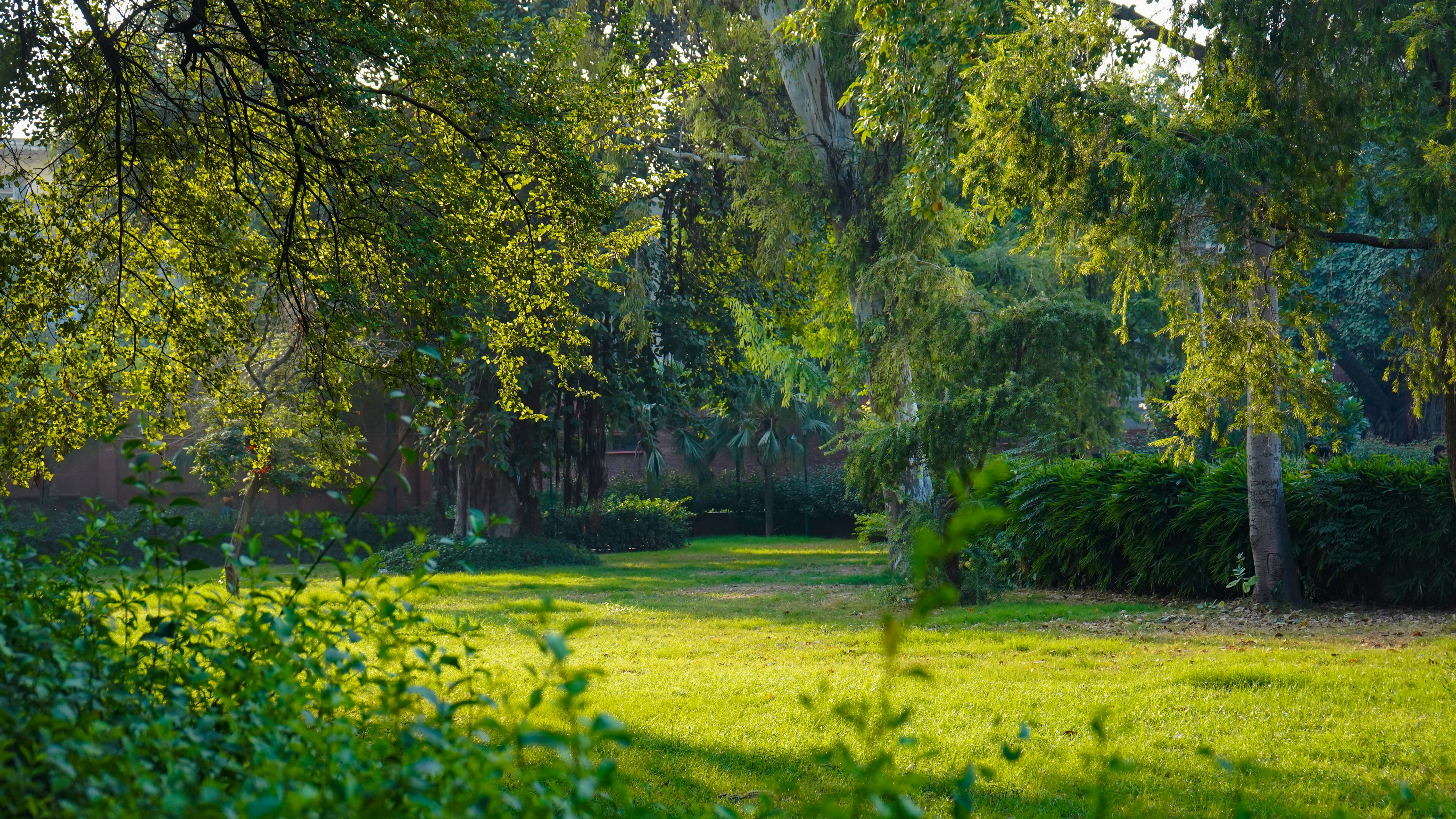 Lush green garden backdrop, ilustrasi artikel Enchanting Garden Wedding: Magical Ideas for Your Dream Day 9