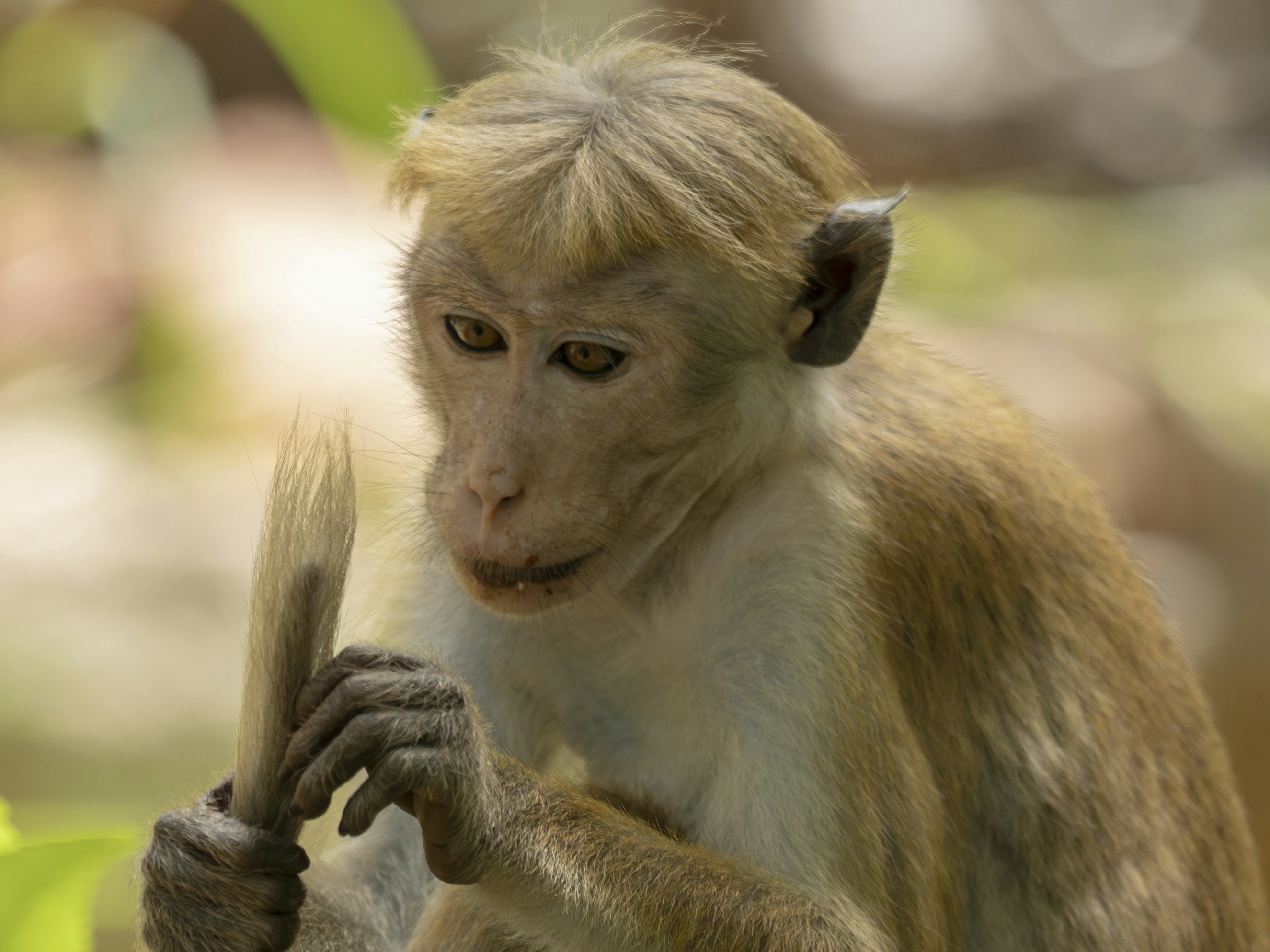 Photo by prasadmadusanka