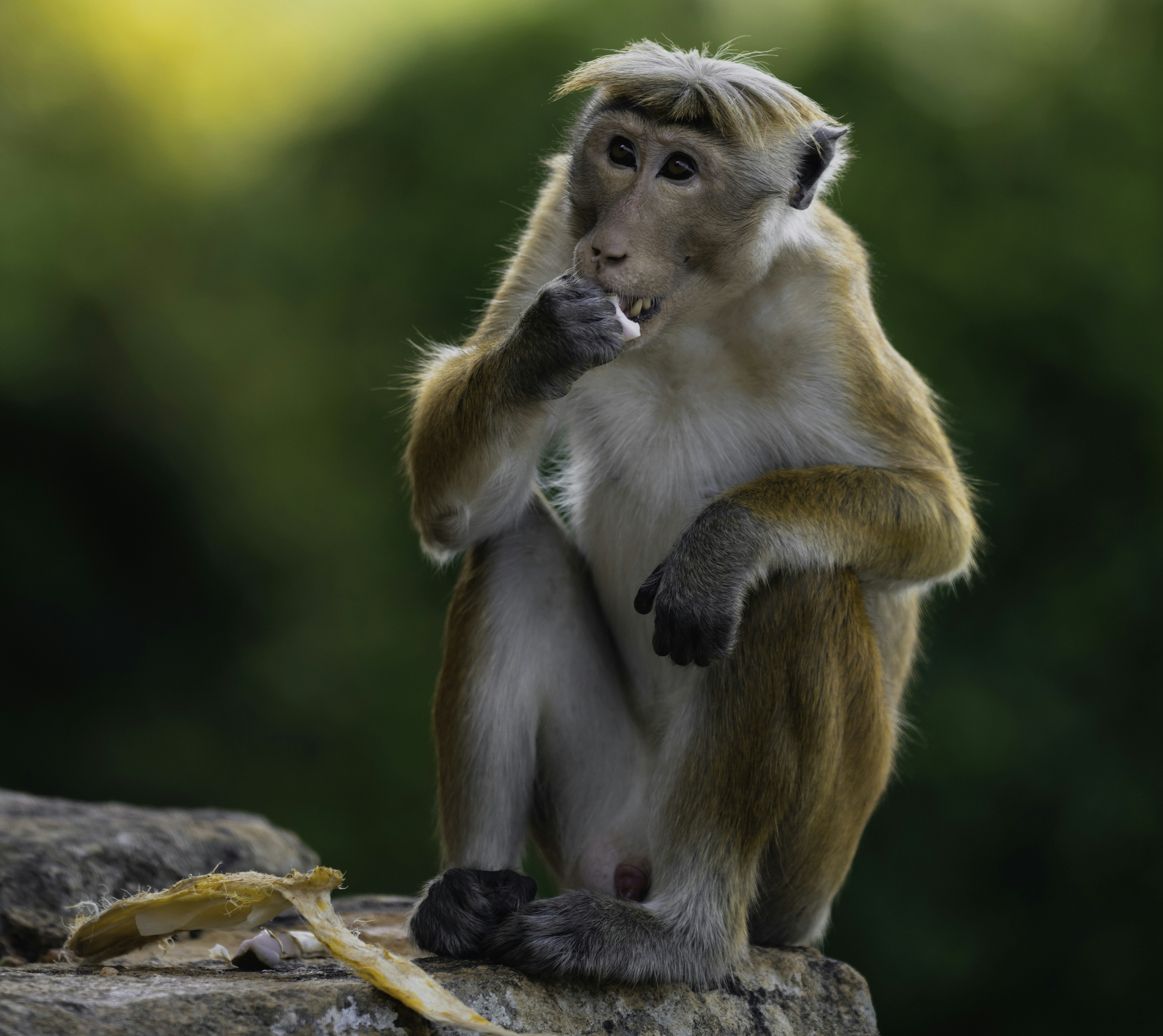 Photo by prasadmadusanka