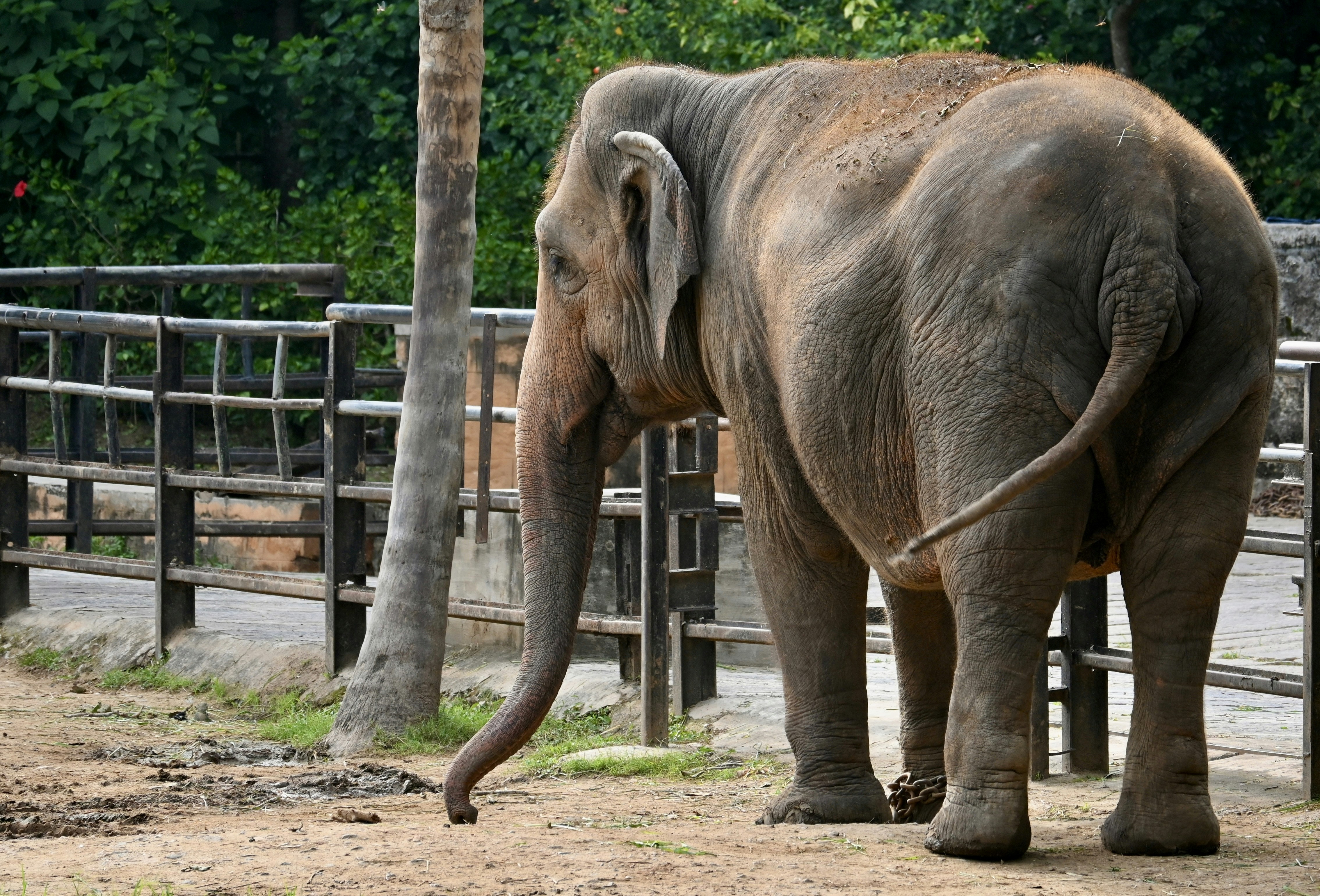 Photo by praswinprakashan