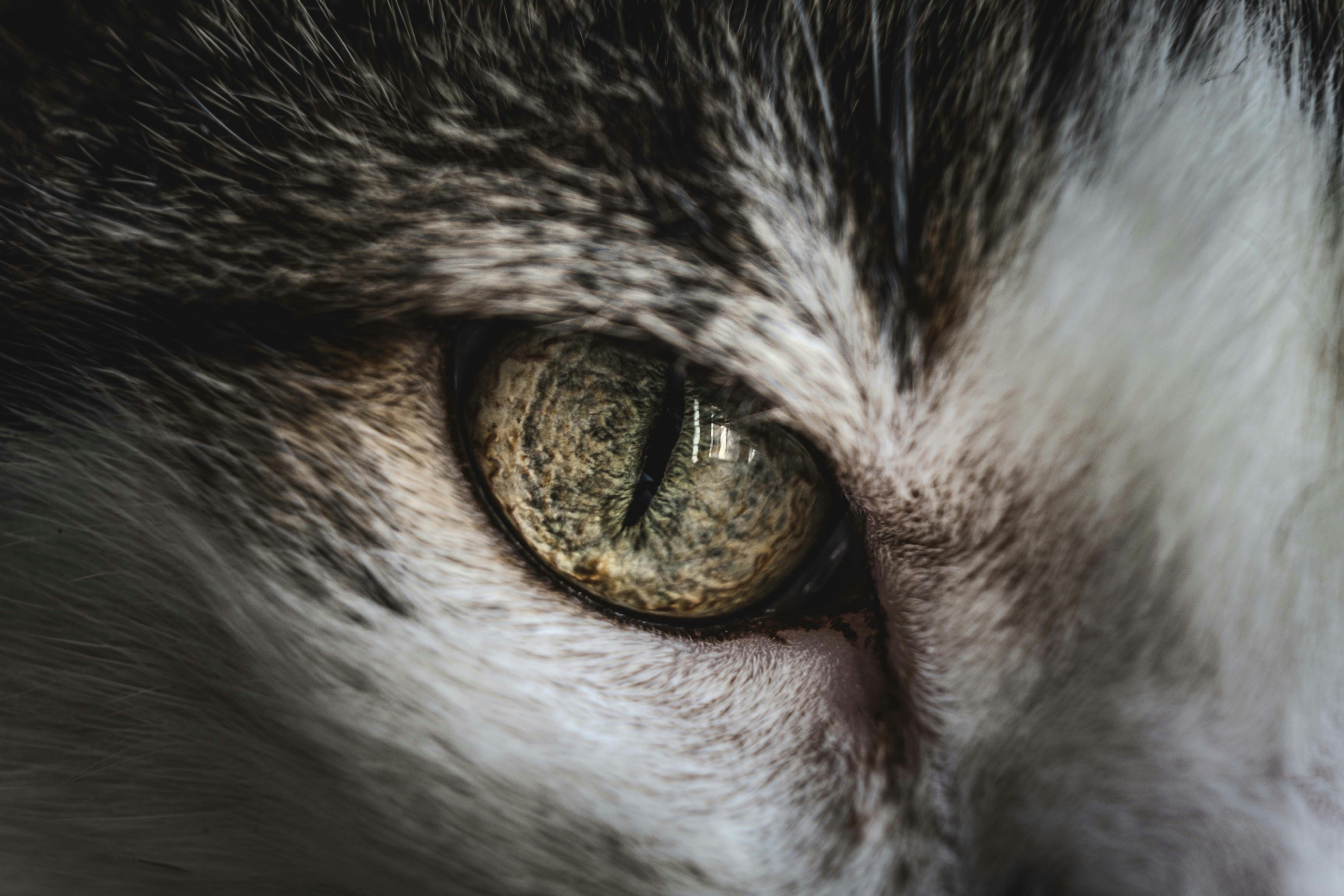 Photo by francesco_ungaro