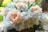A bouquet of white and peach flowers in someone's hand