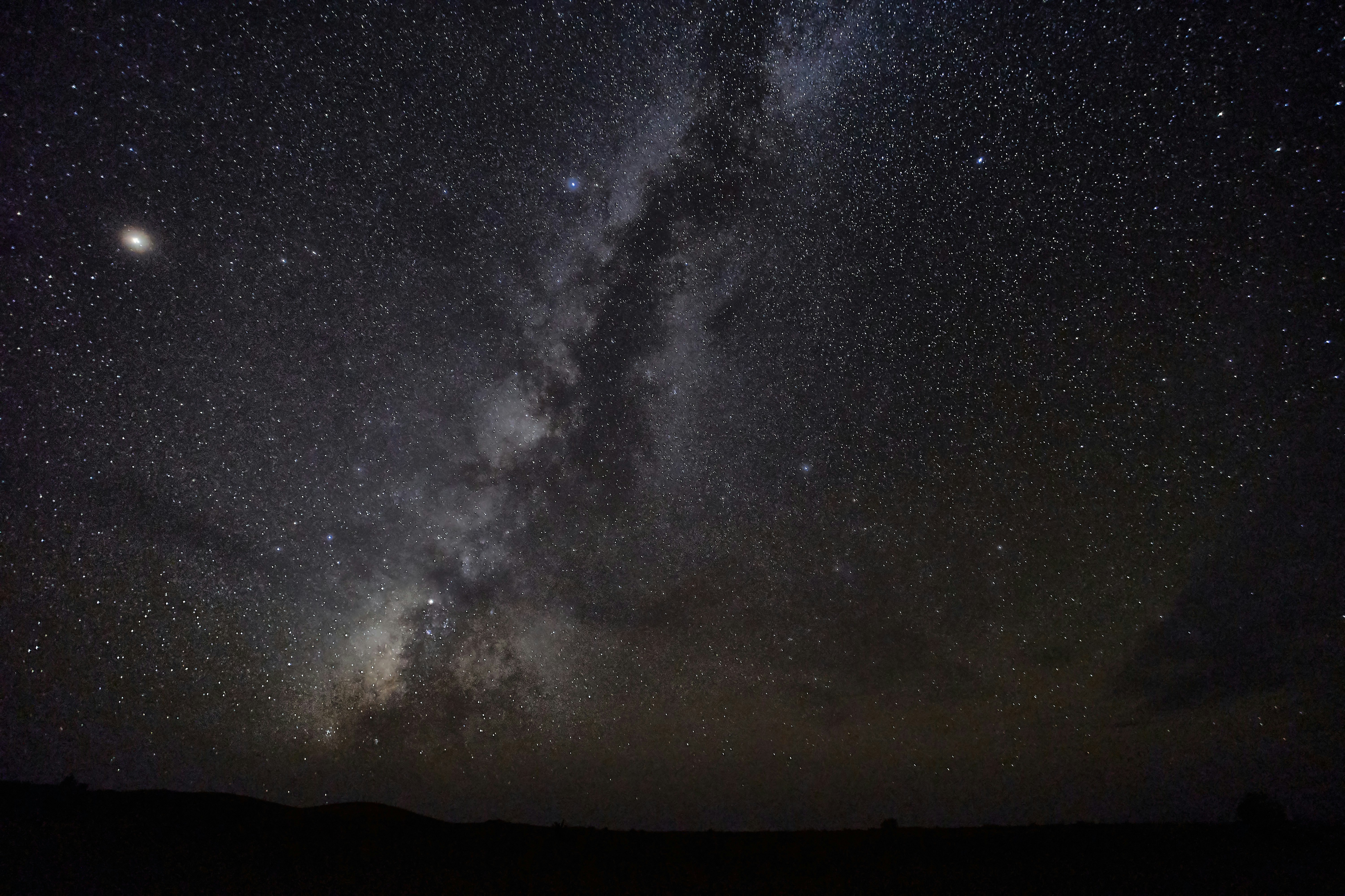 Photo by wolfgang_hasselmann