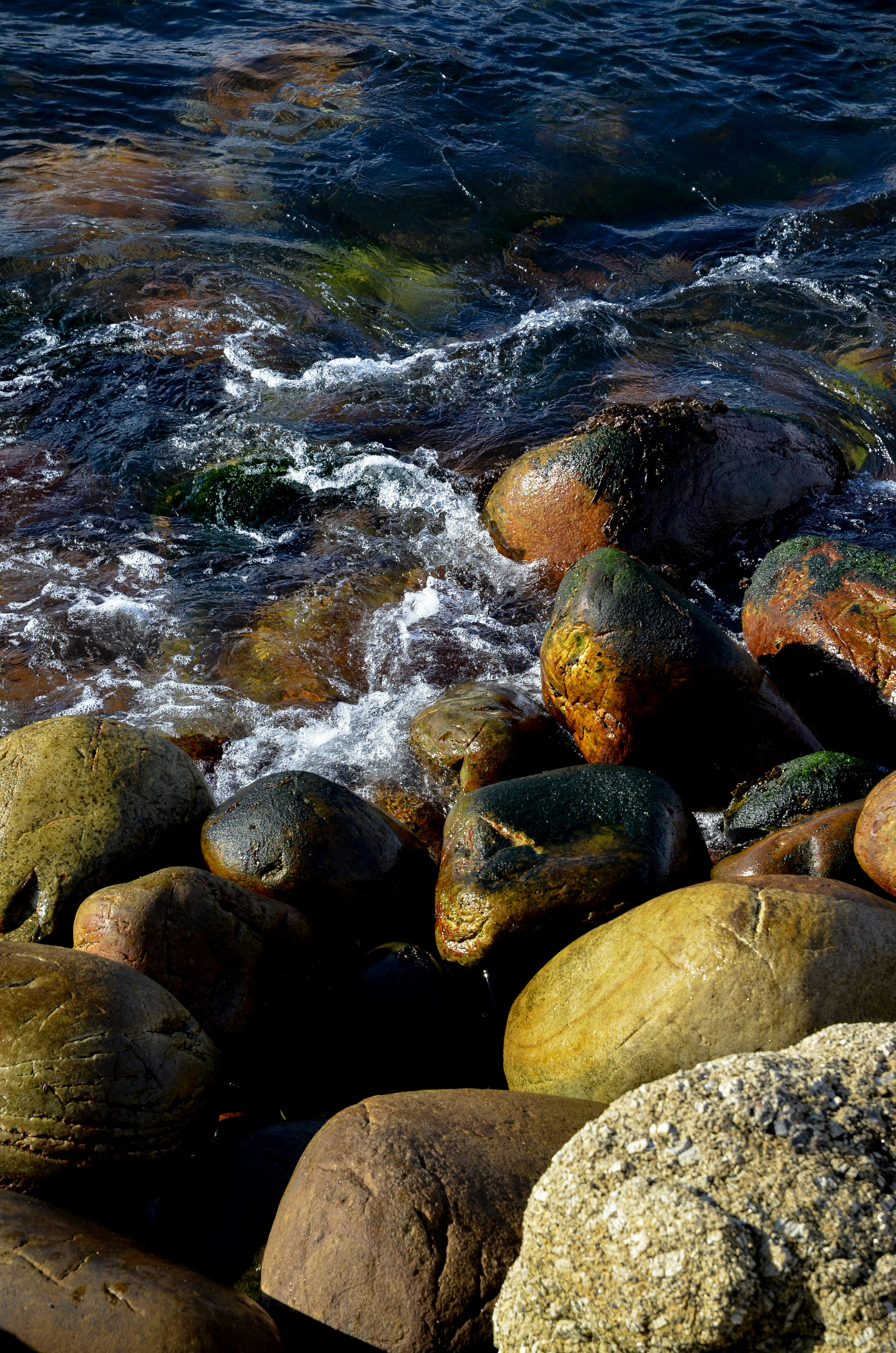 A bunch of rocks sitting on top of a body of water