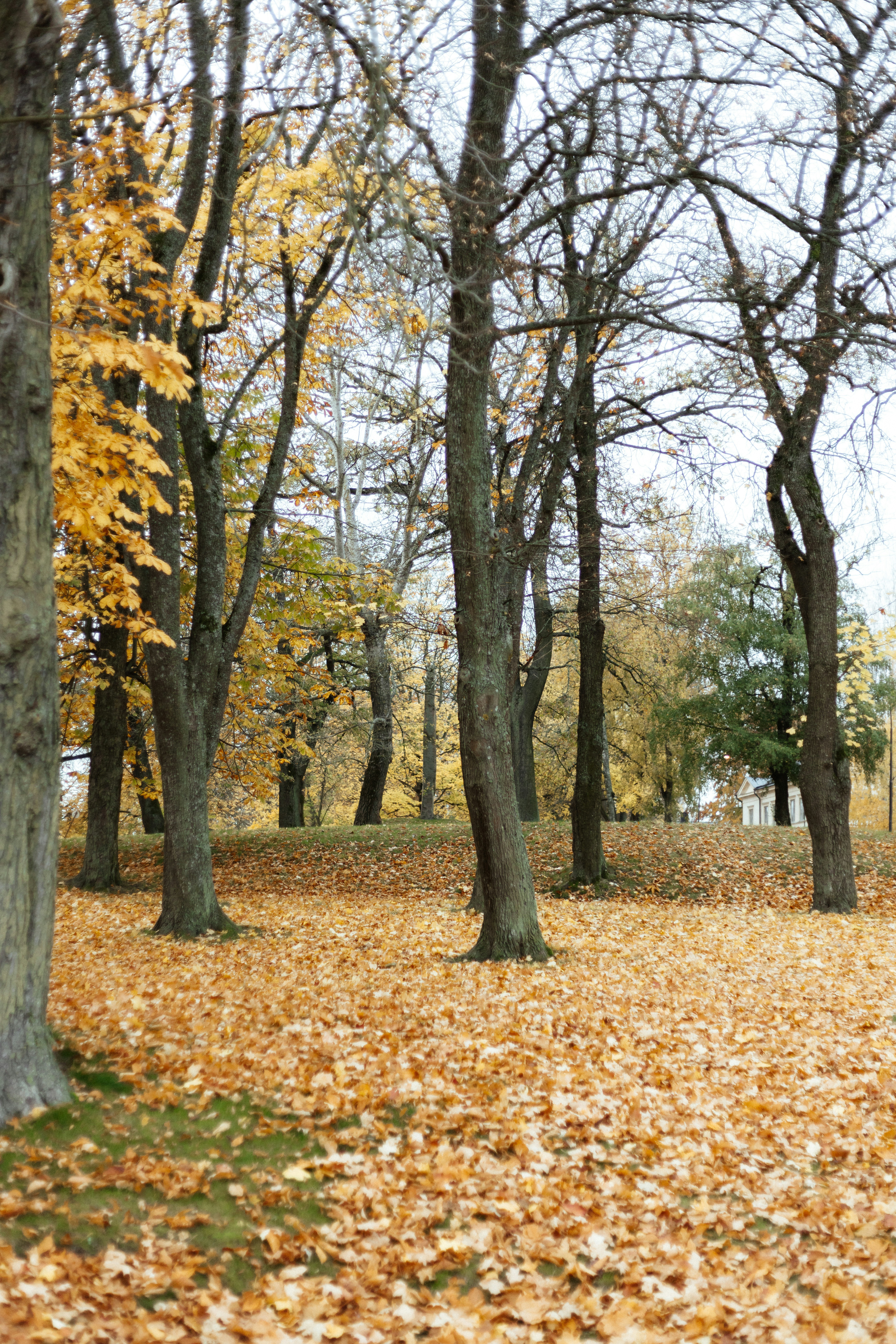 Photo by anniespratt