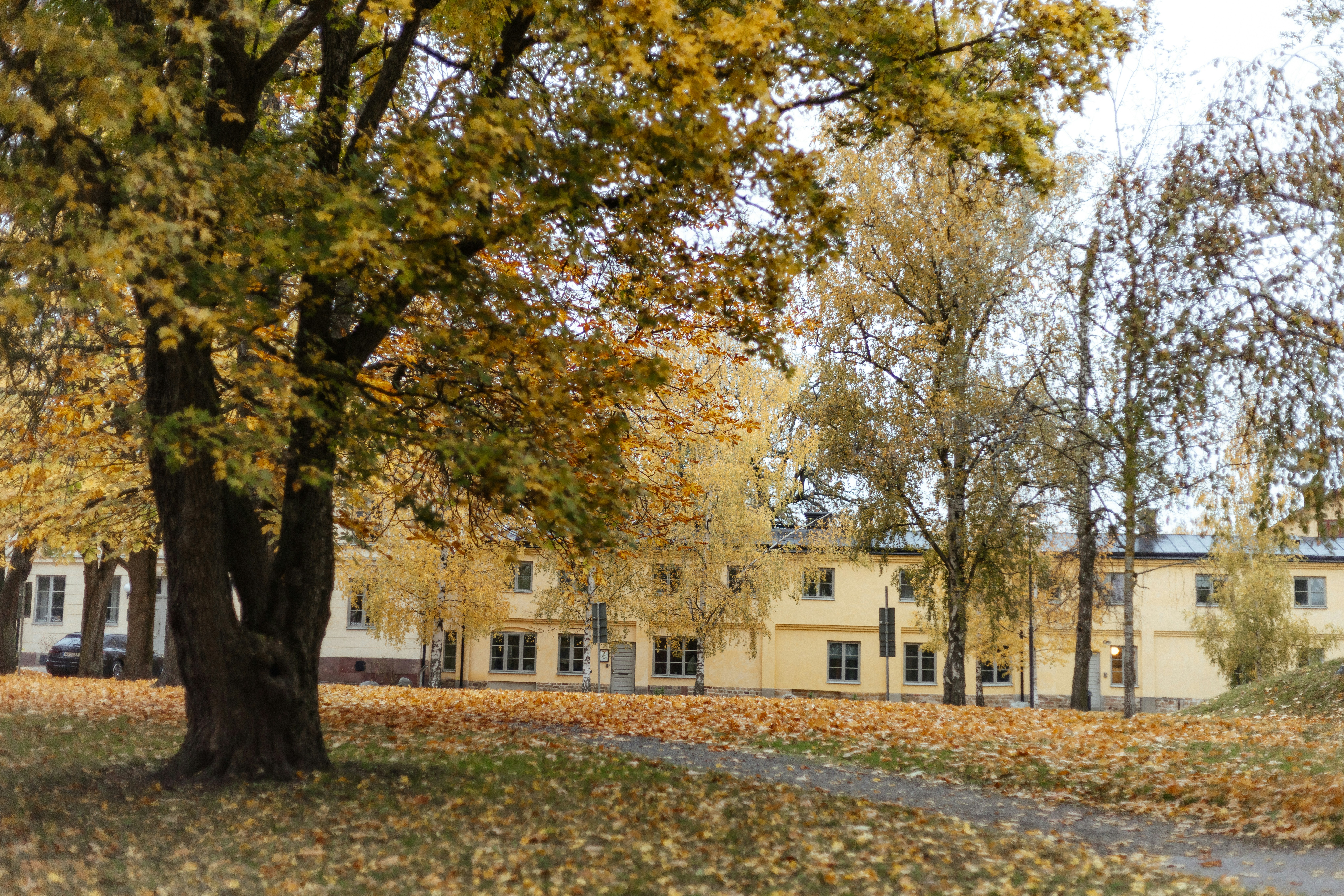 Photo by anniespratt