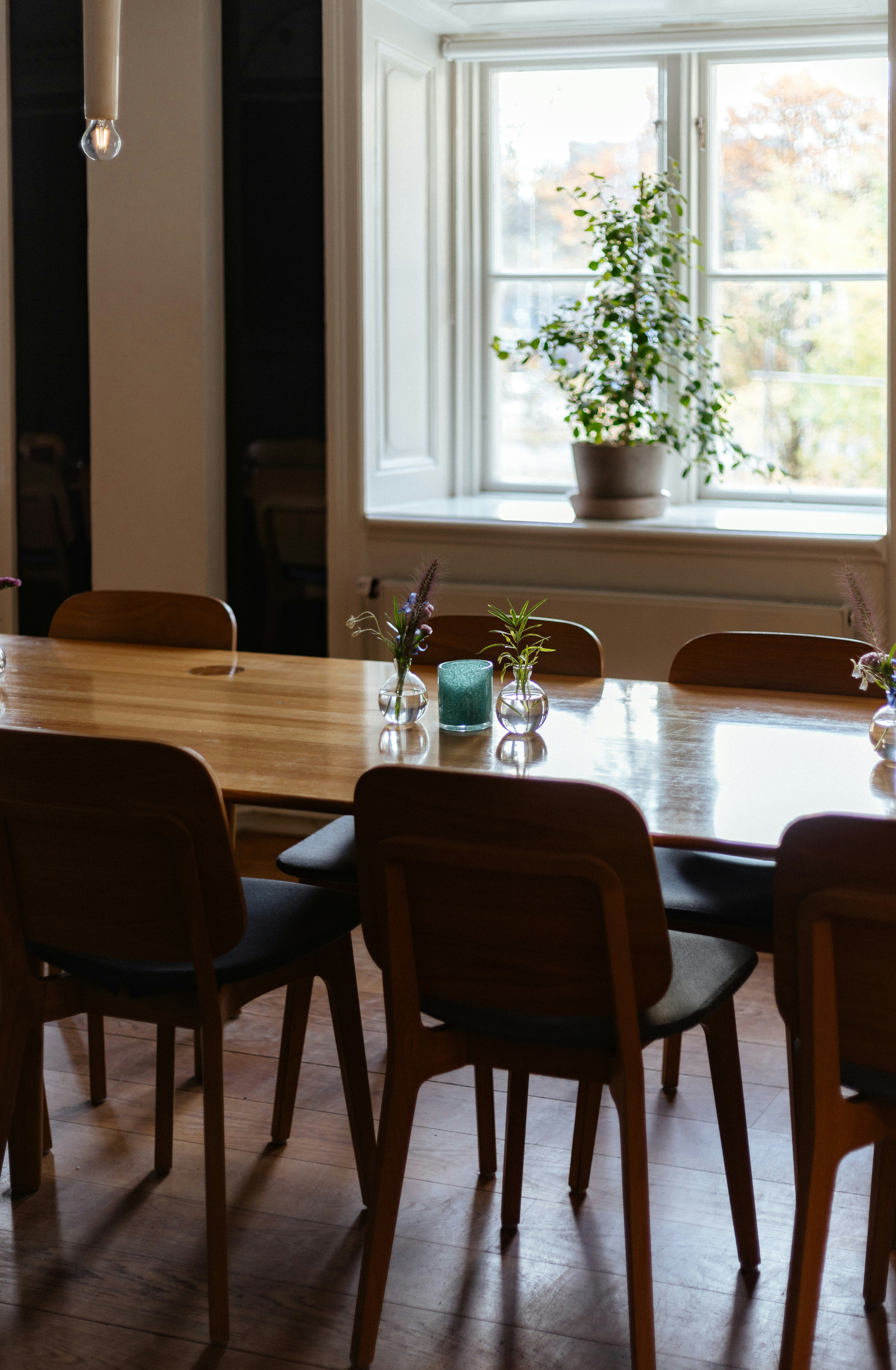 Photo by anniespratt