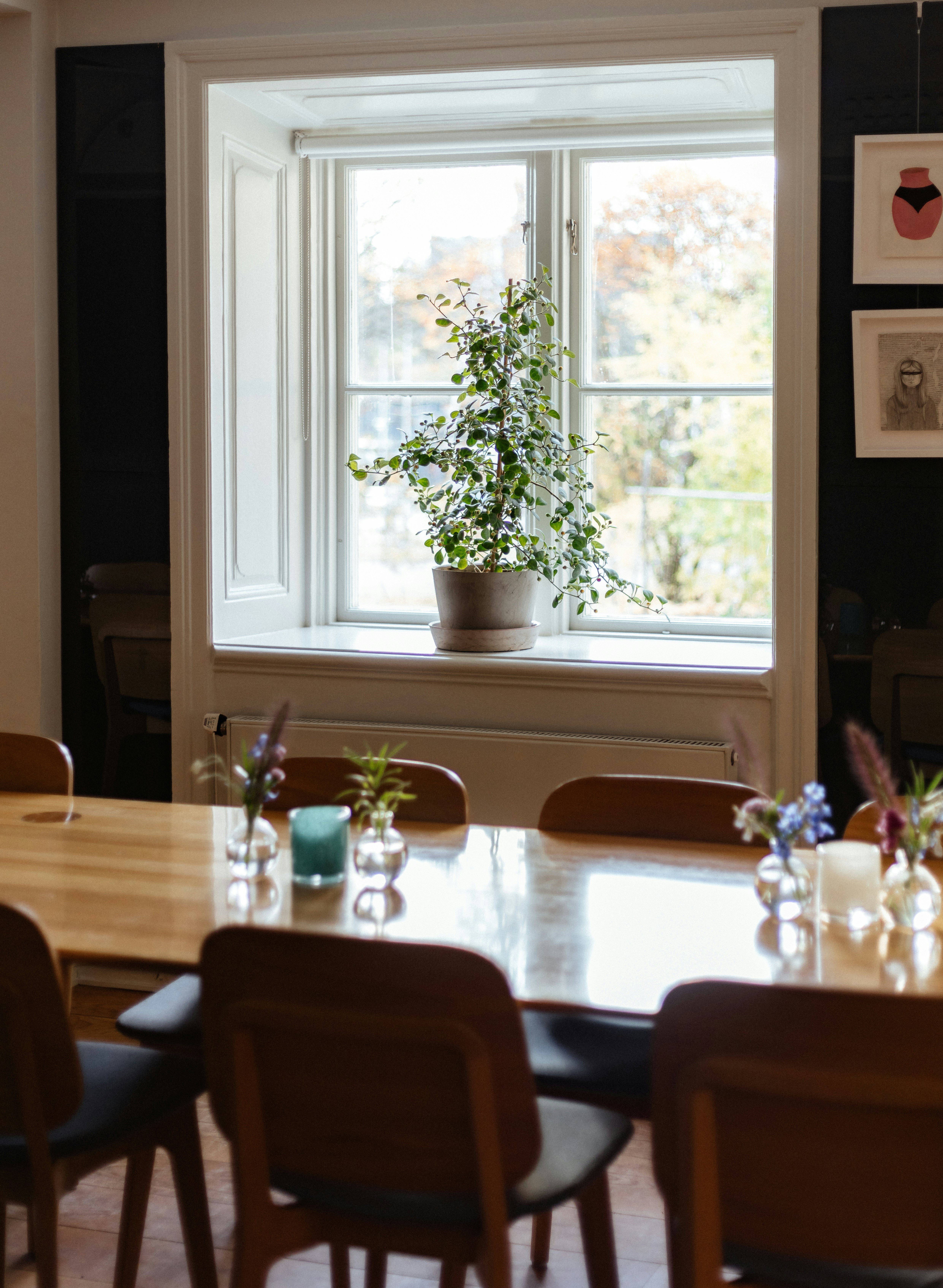 Photo by anniespratt