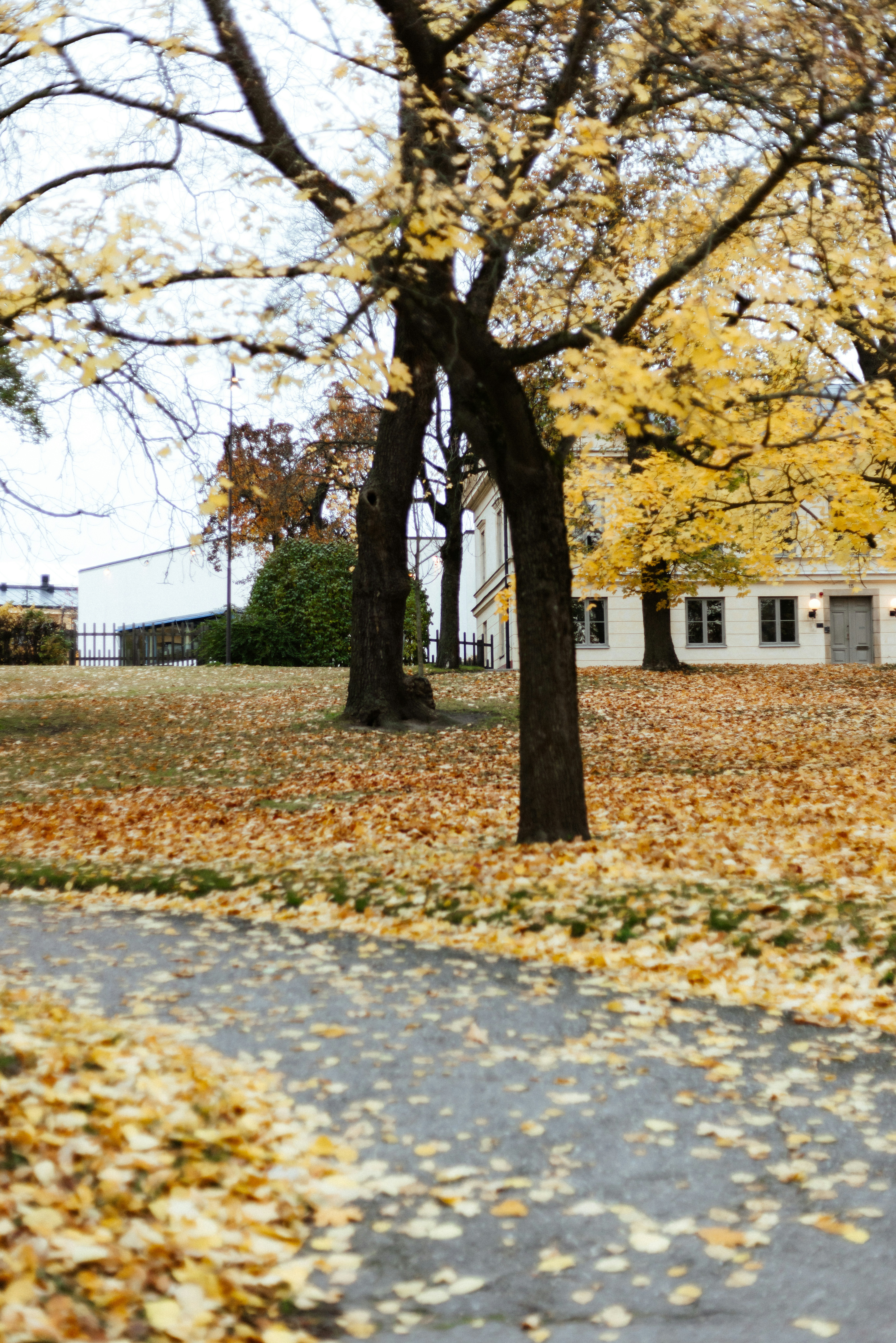 Photo by anniespratt