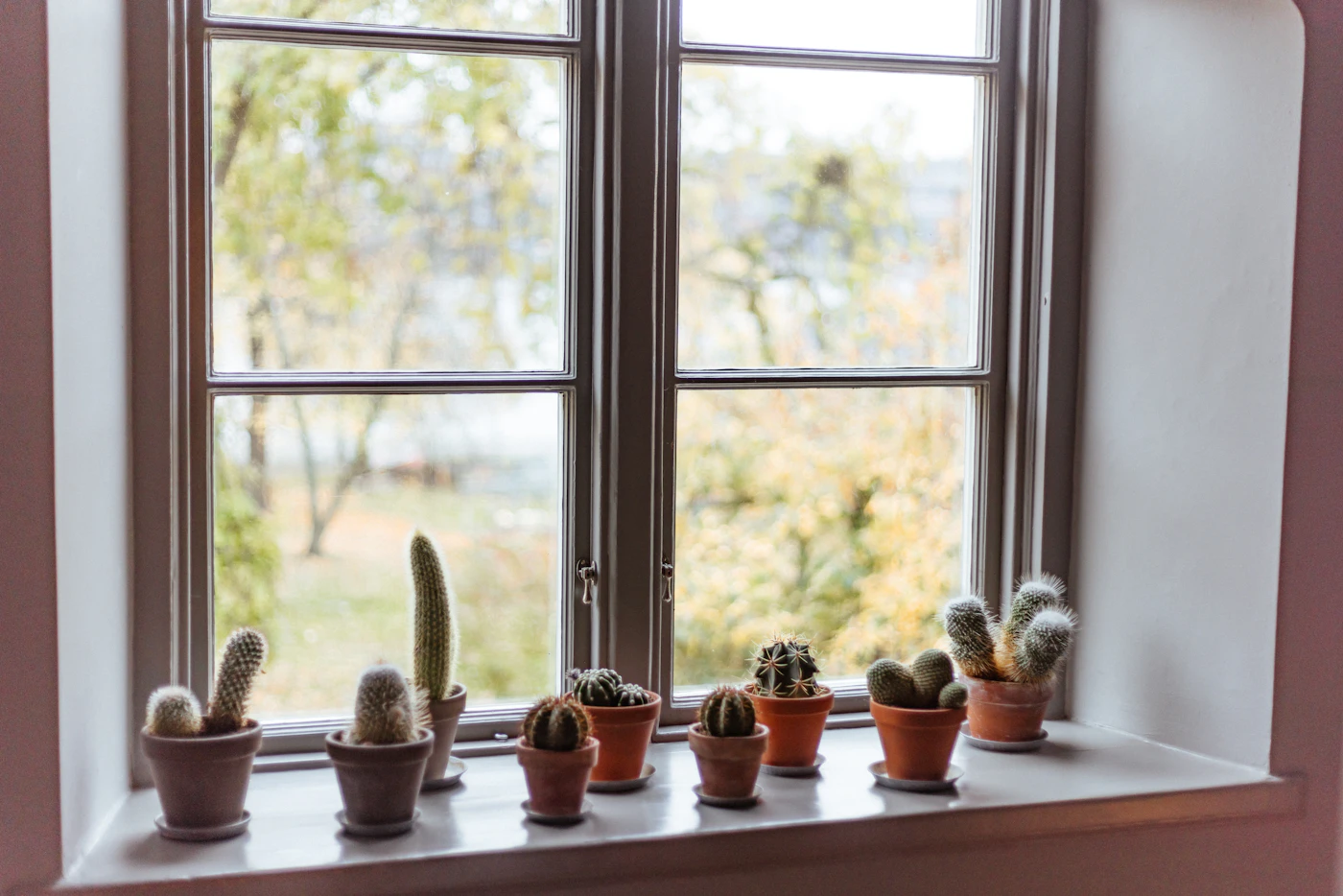 Helles Zimmer mit Fenster als Symbol für Rauchen am Fenster abgewöhnen