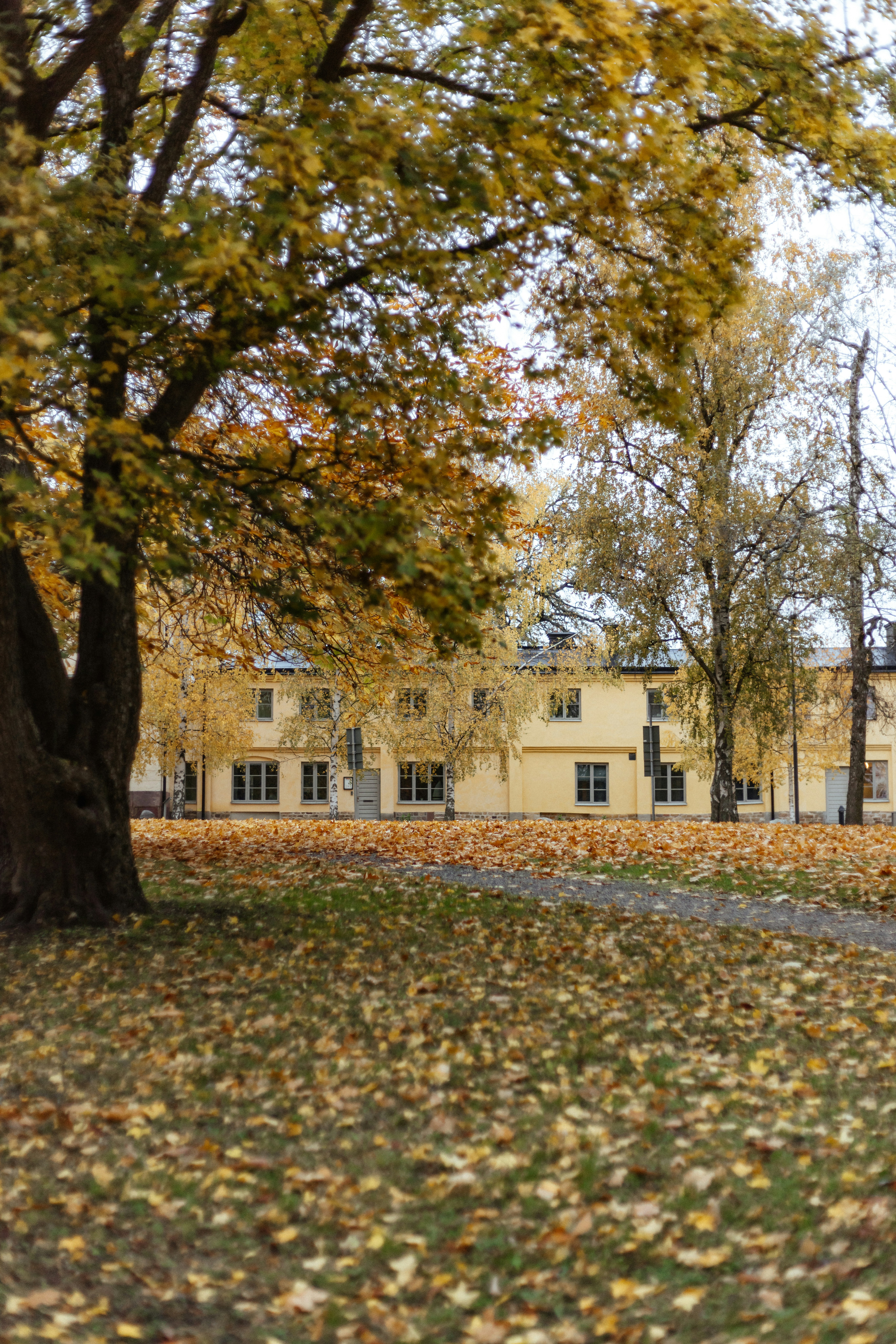 Photo by anniespratt