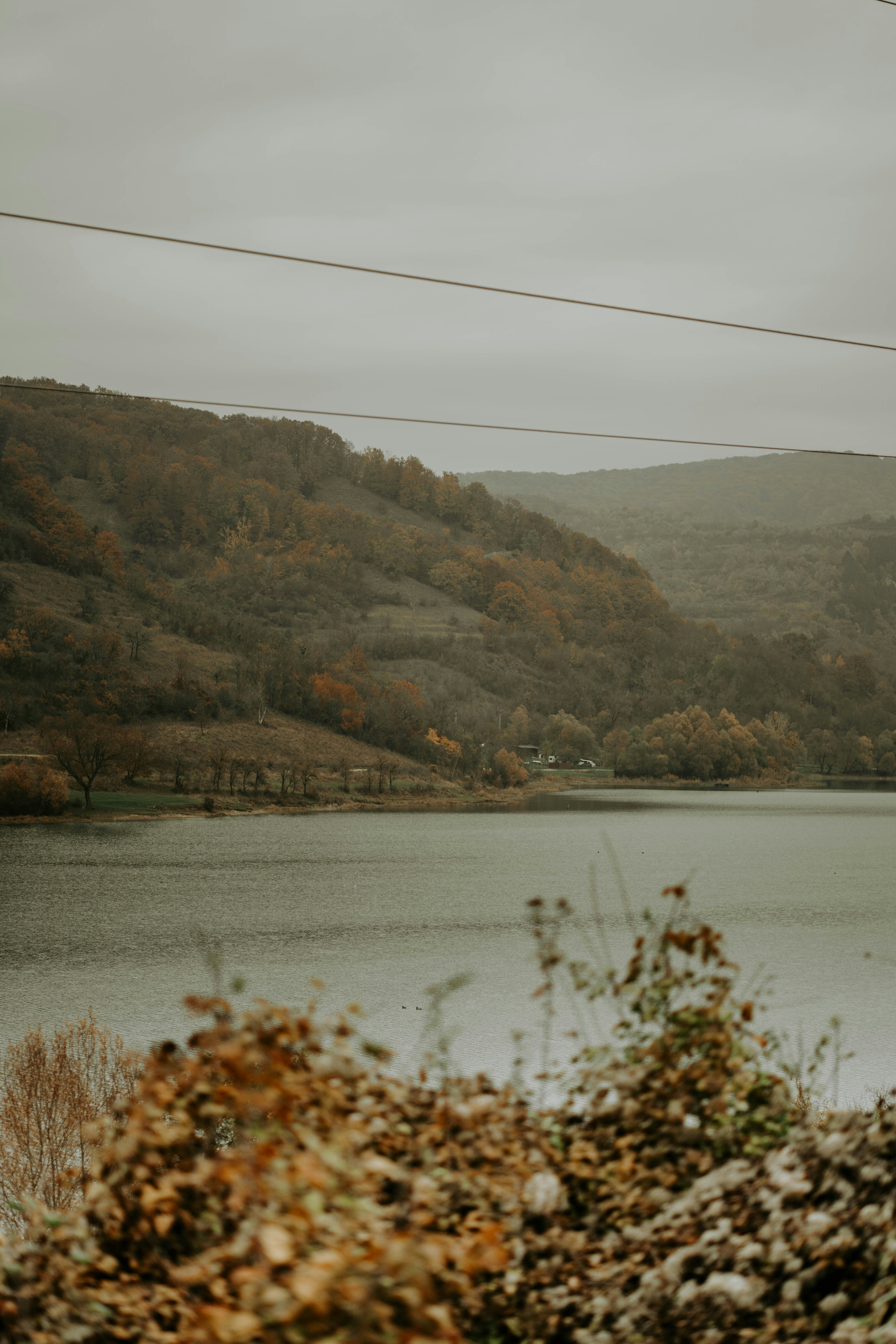 Photo by nemesnora24