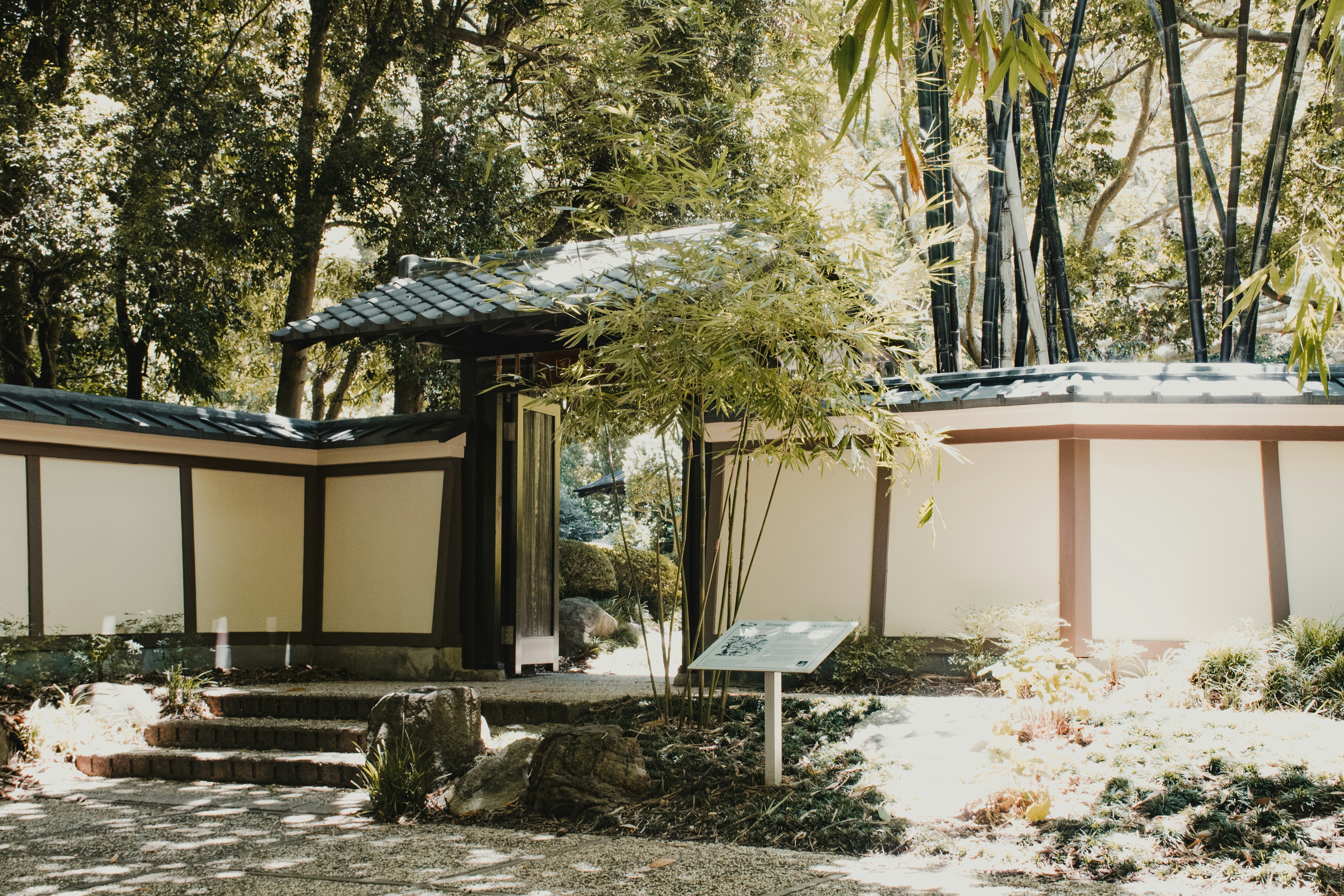 Photo by shot_by_lucid