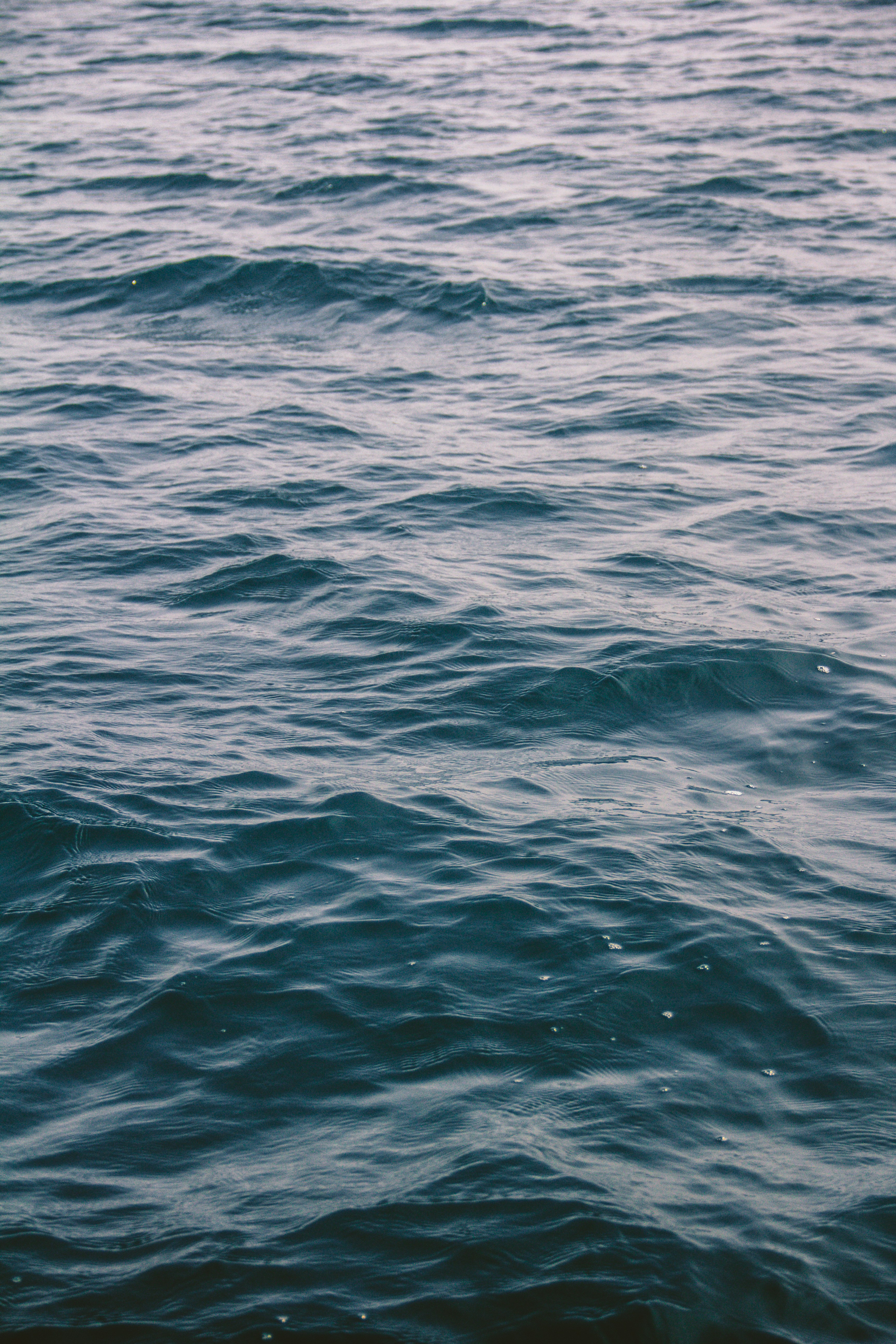 Photo by john_cercado