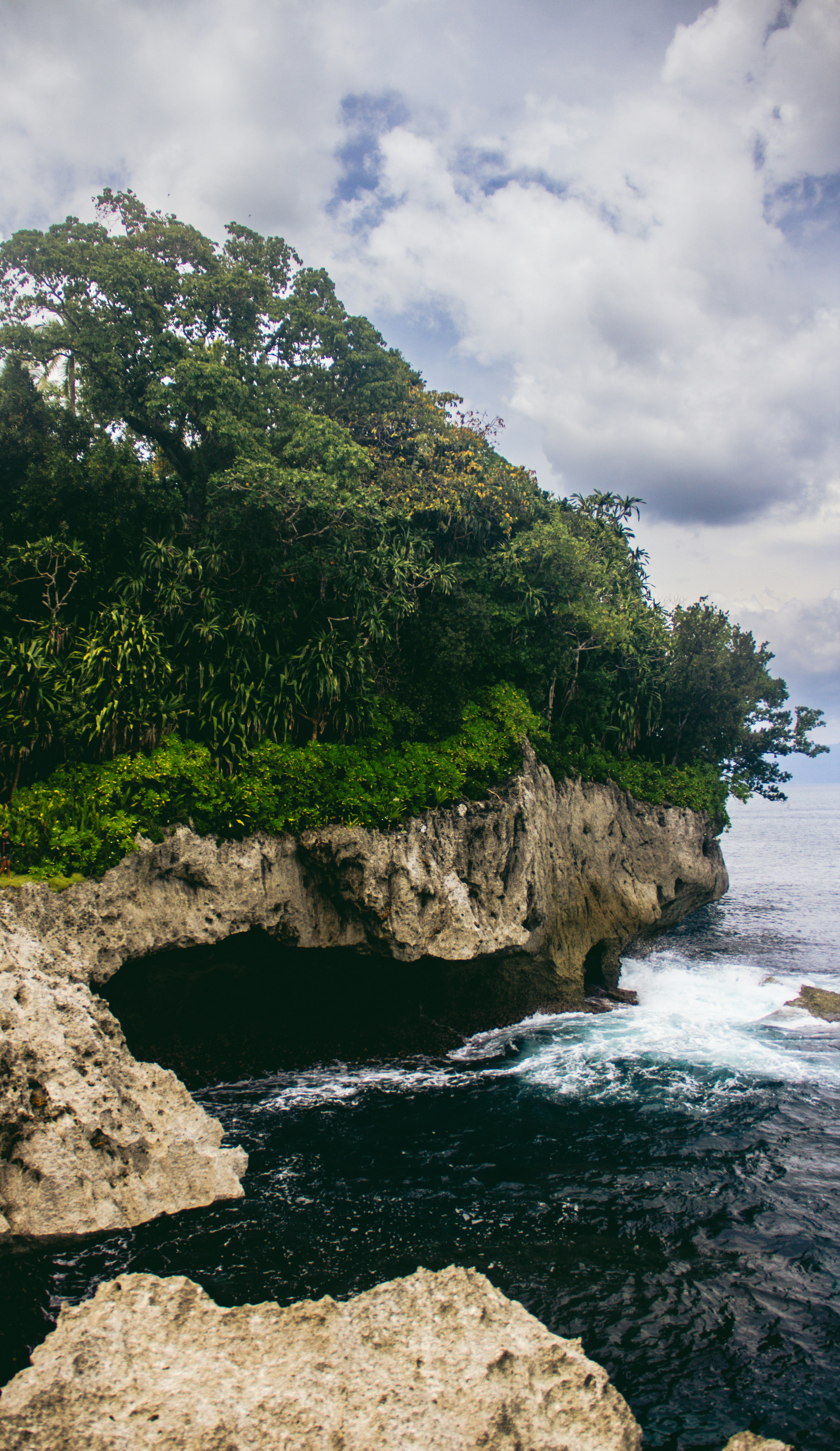 A rocky cliff overlooks a body of water
