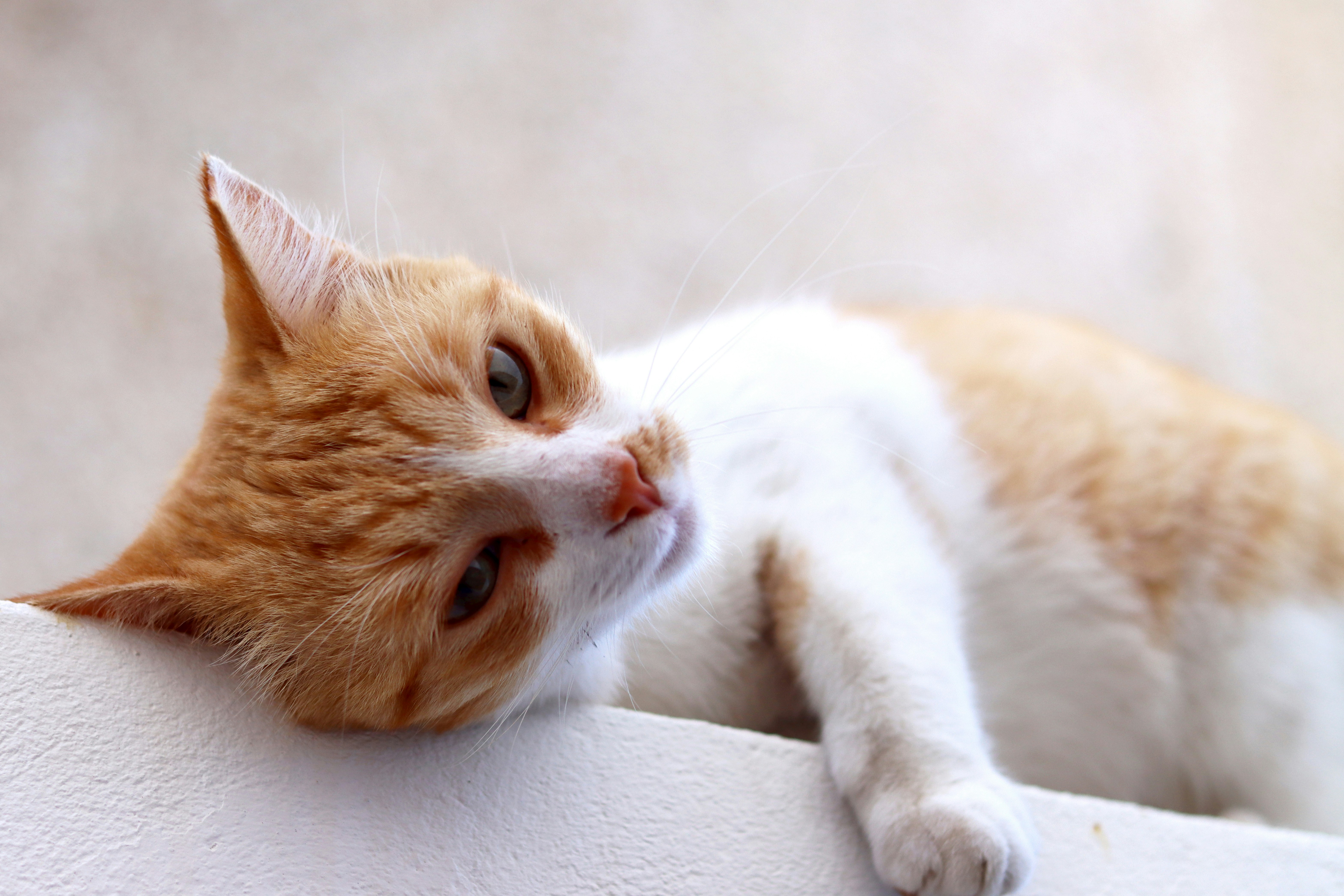 Photo by carolinagrants