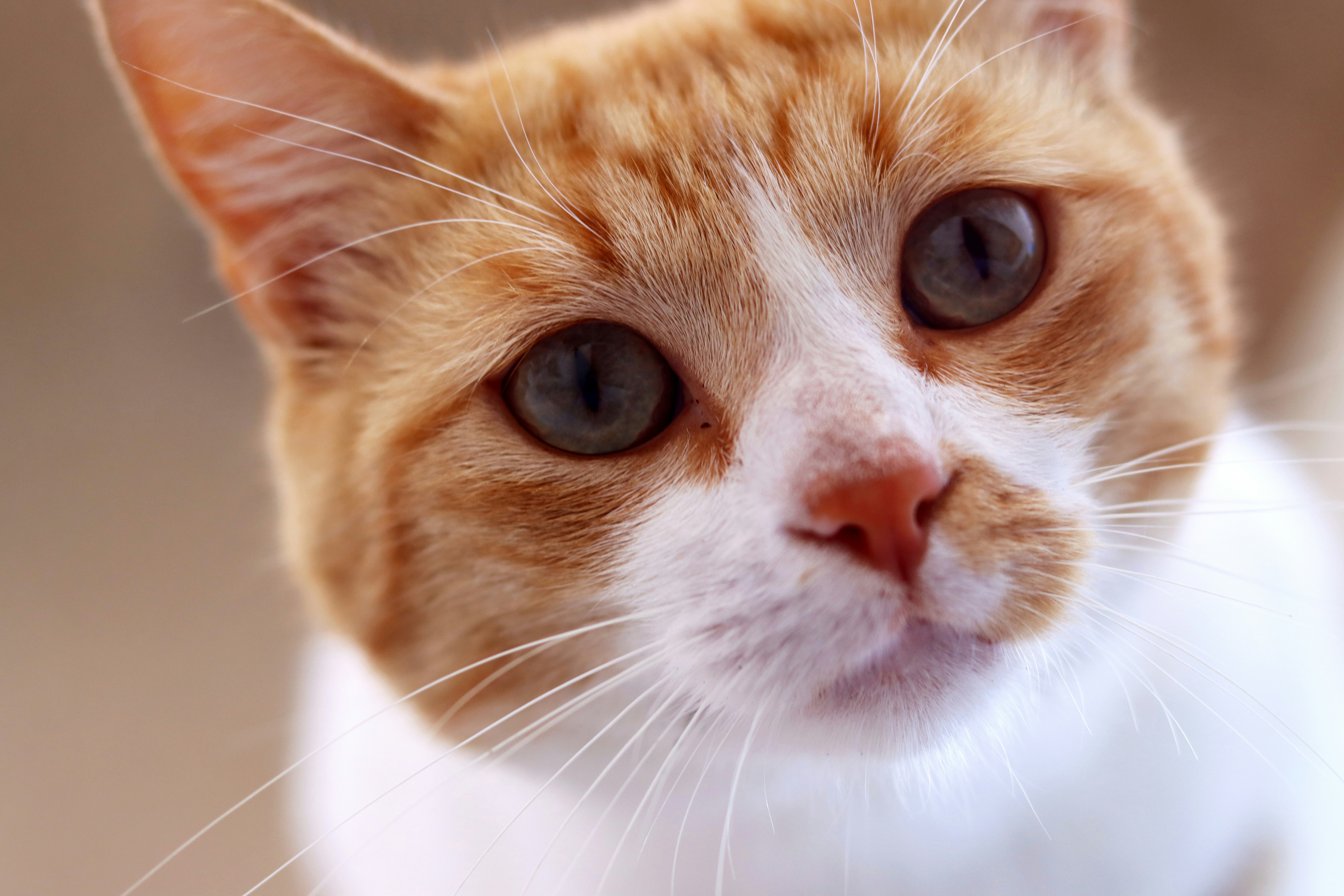 Photo by carolinagrants