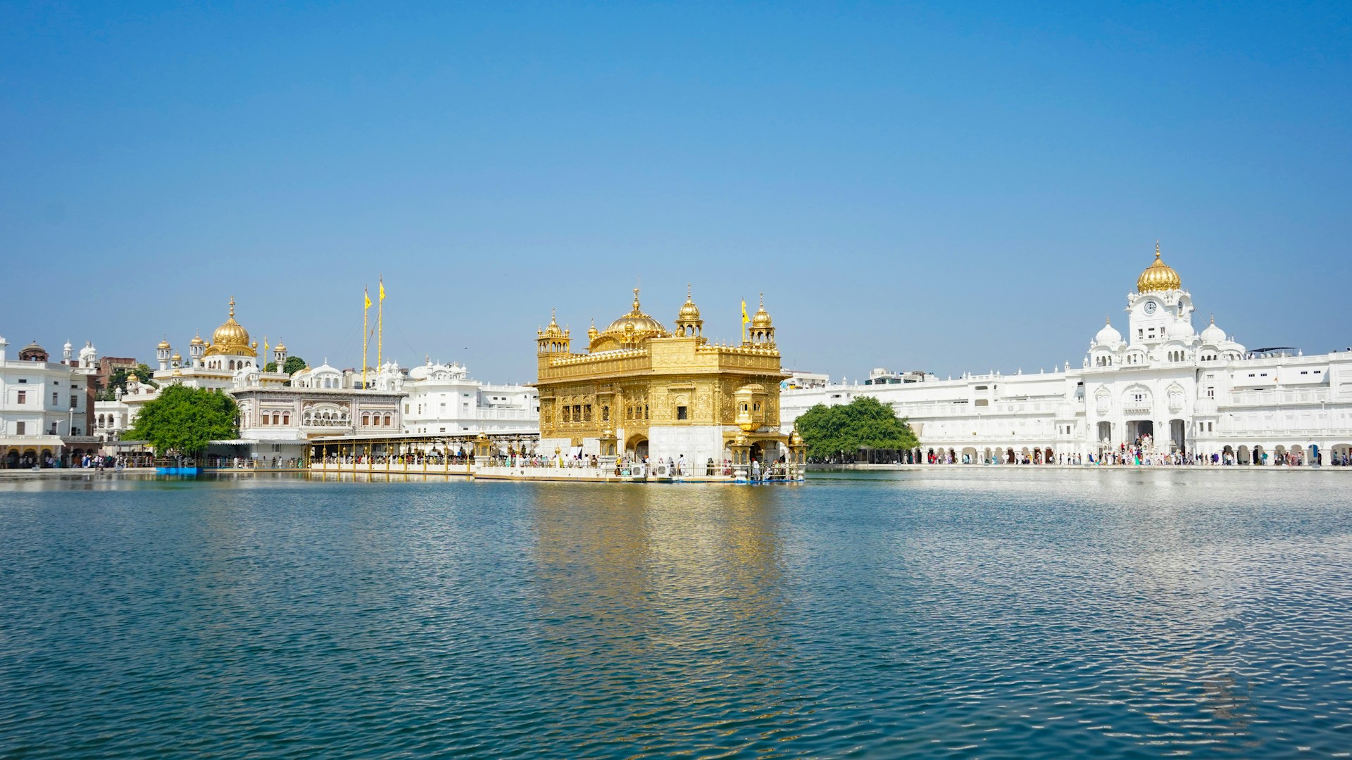 A body of water with buildings in the background