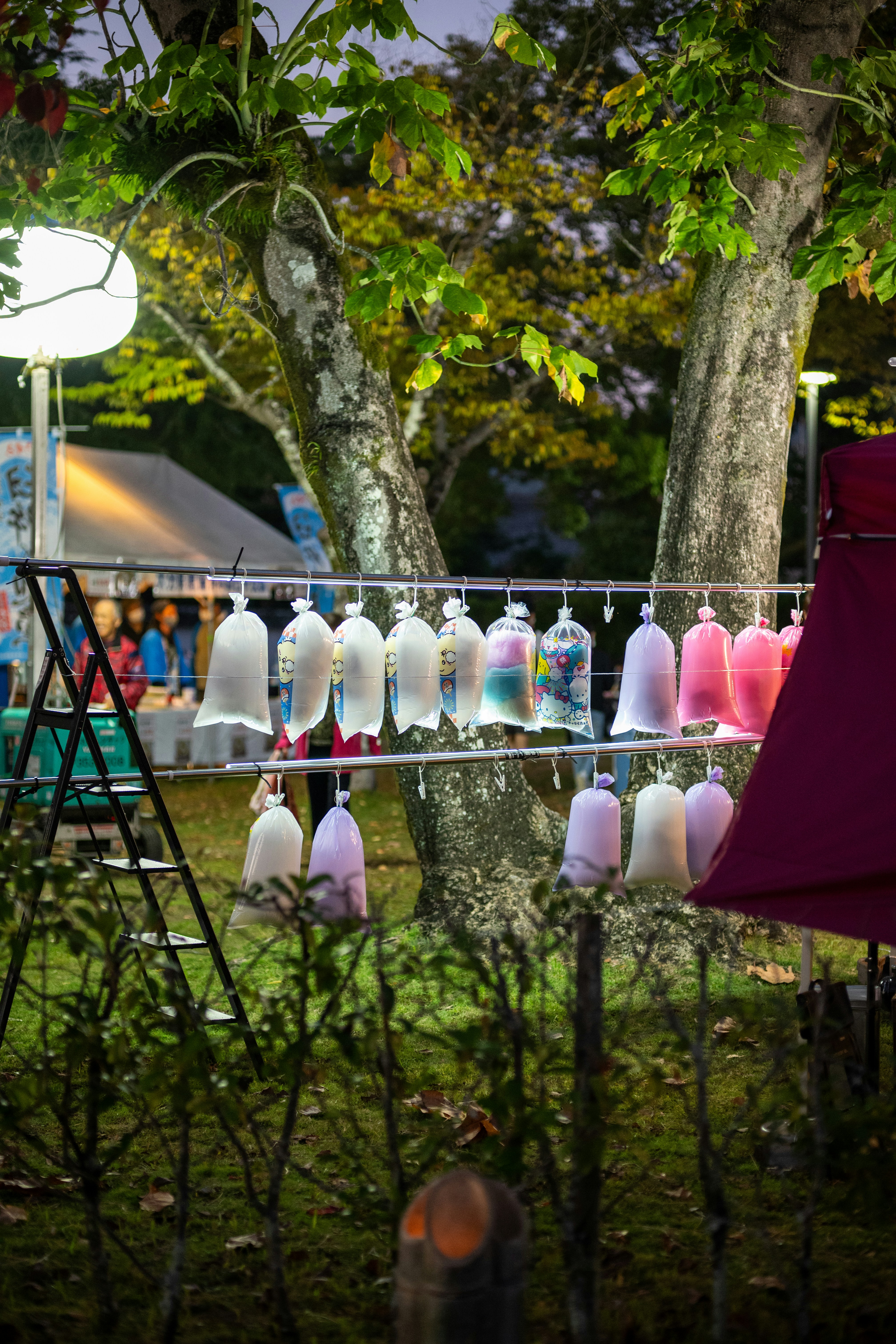 photo-1730642215118-0f7e87cda9cc