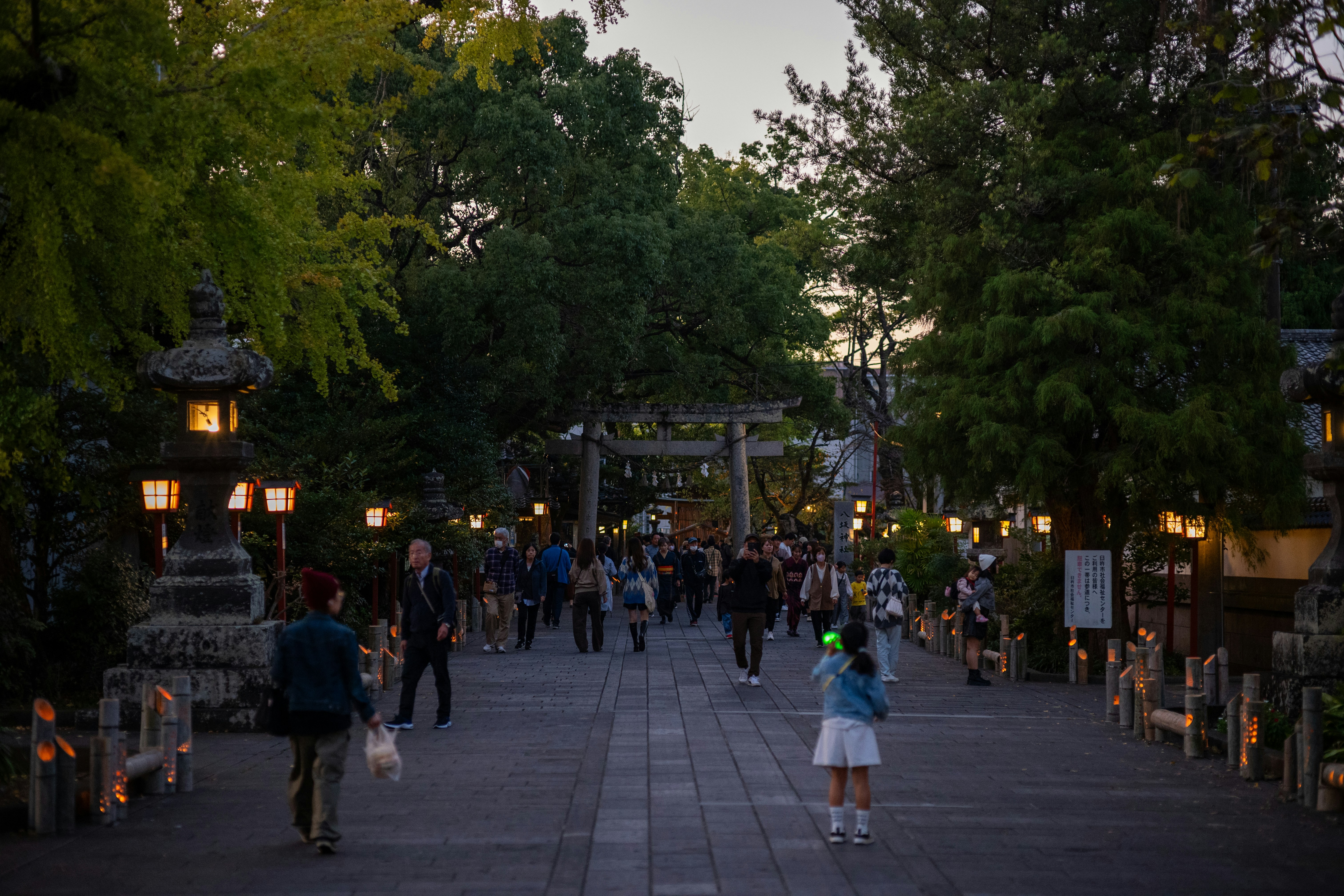 Photo by pafuxu