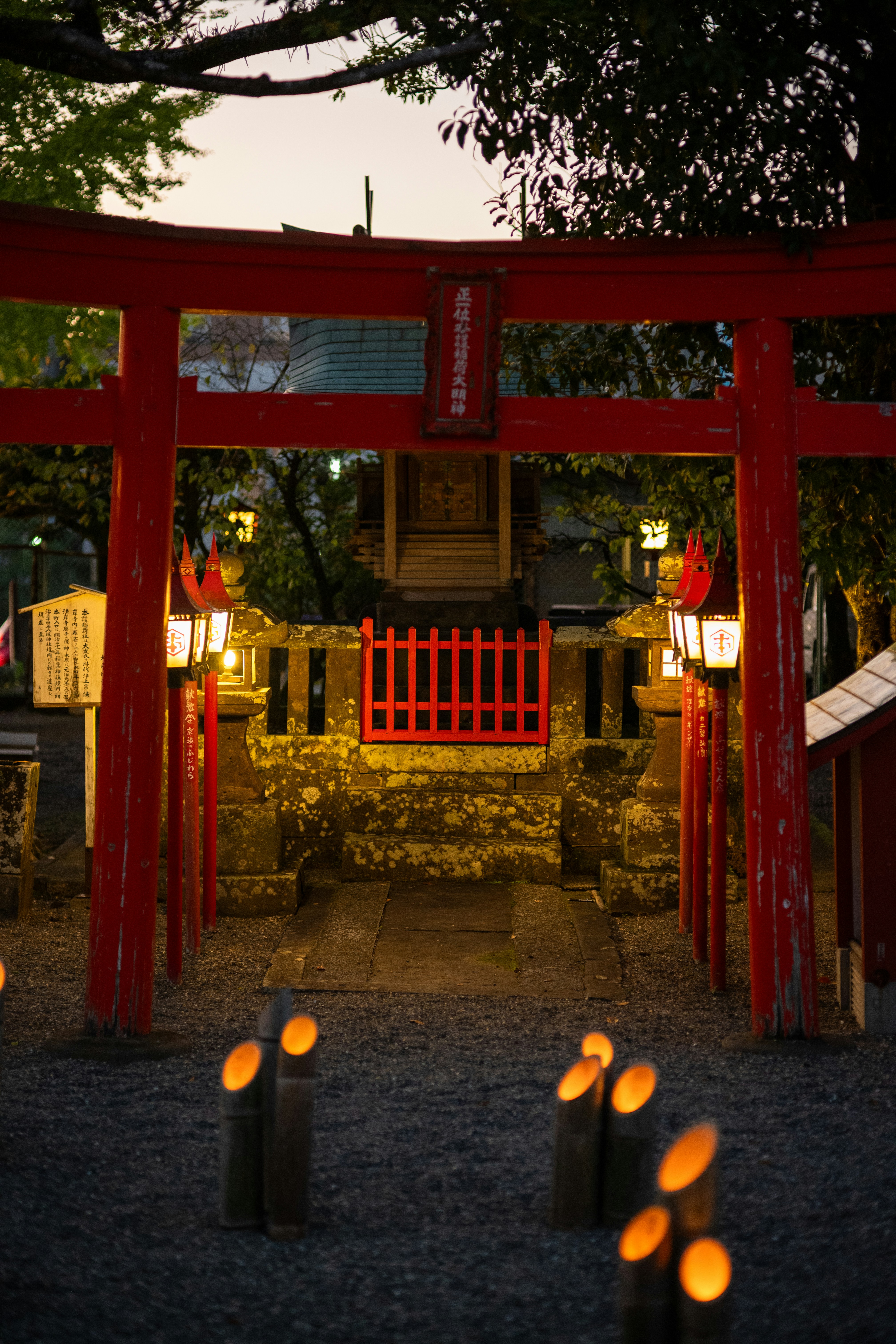 Kyoto temple illuminated at night