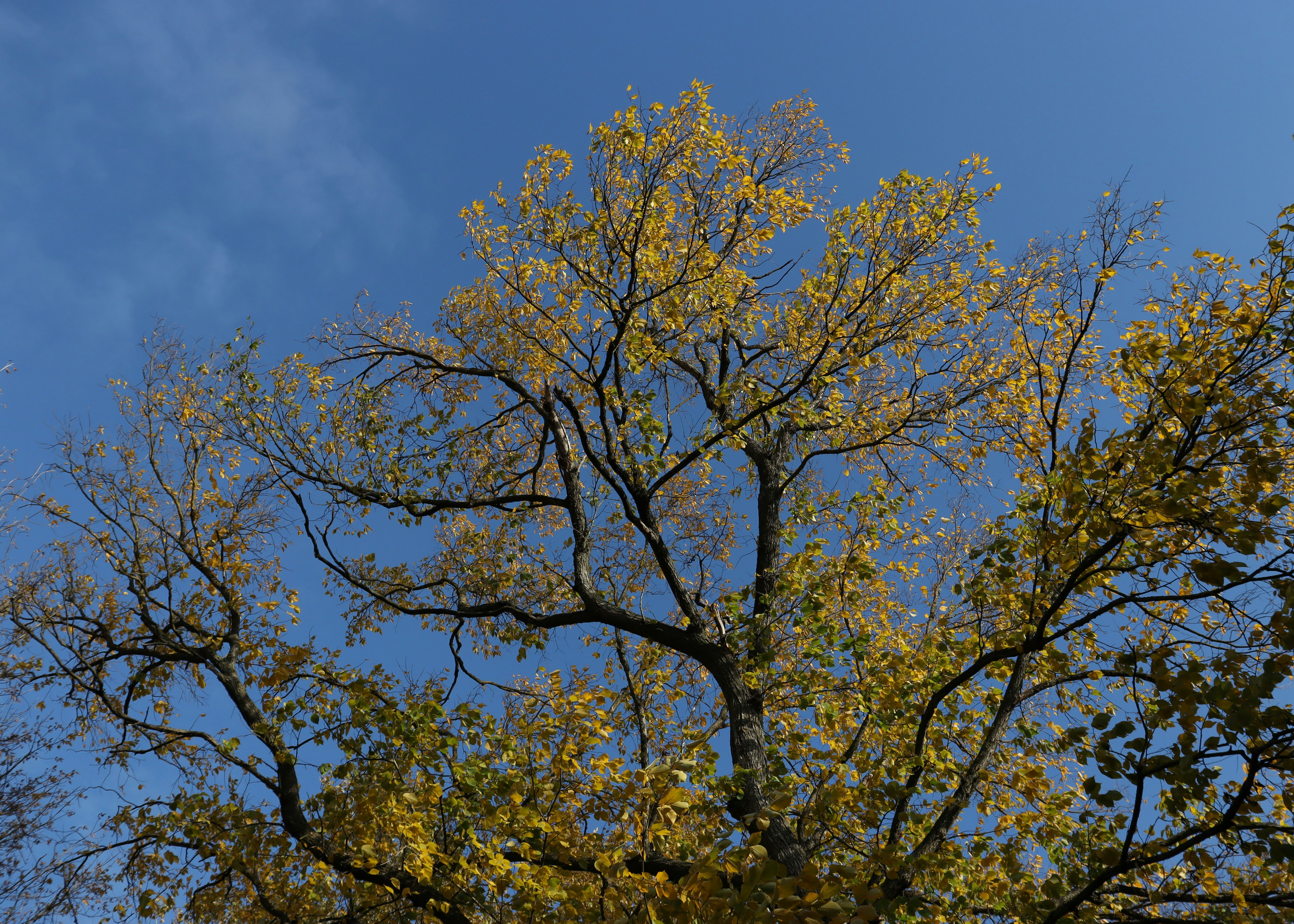 Photo by bored_mongoose