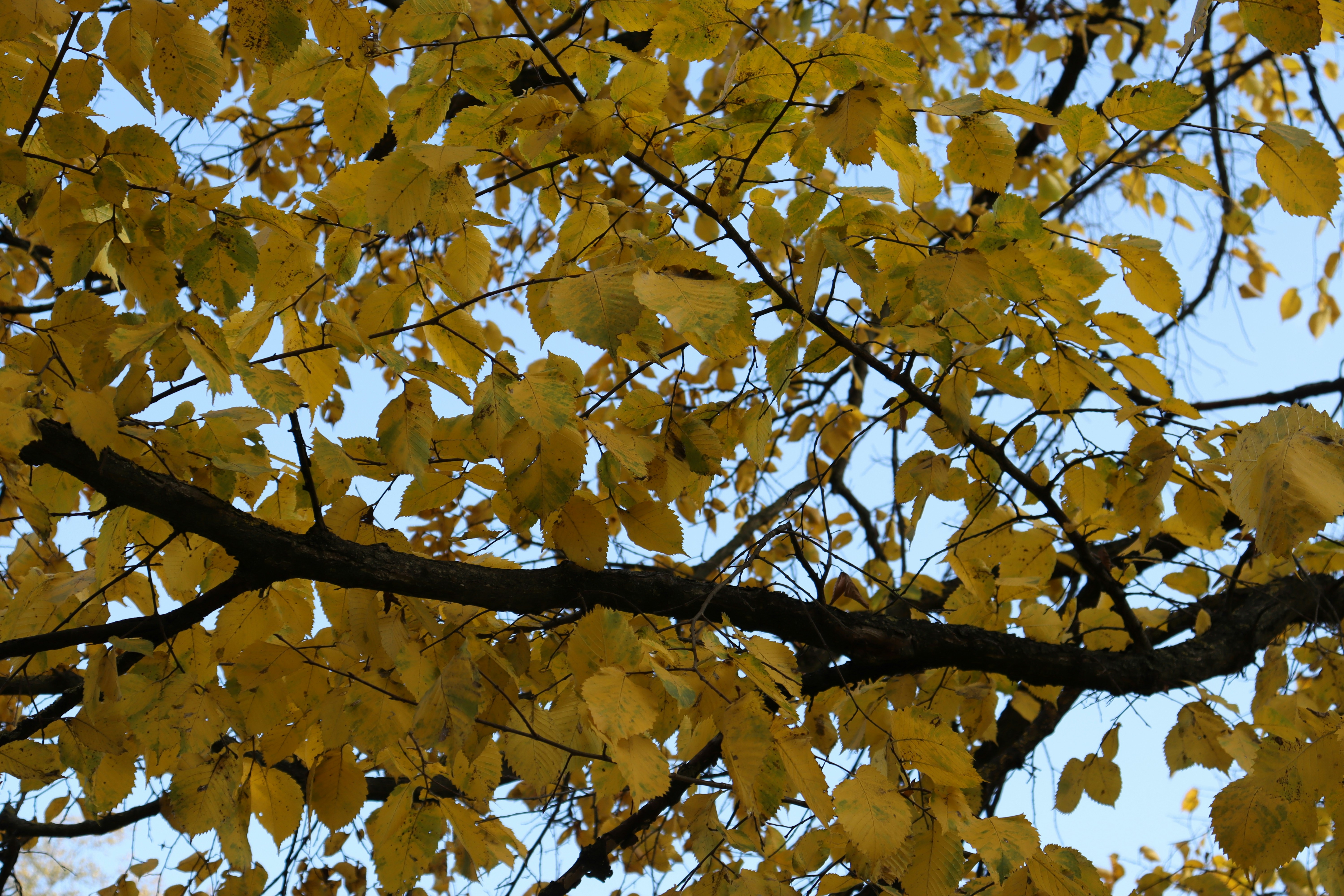 Photo by bored_mongoose