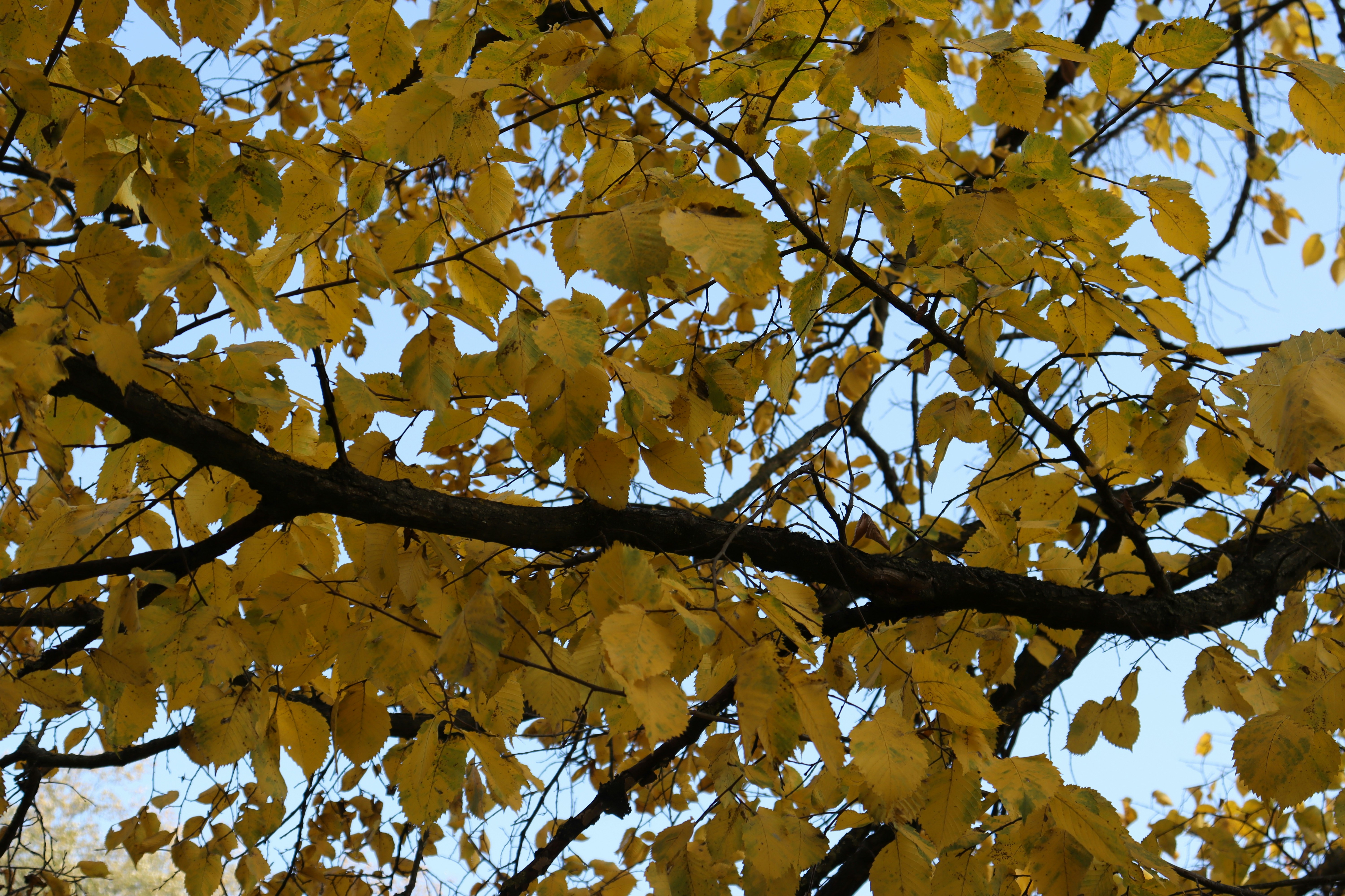 Photo by bored_mongoose