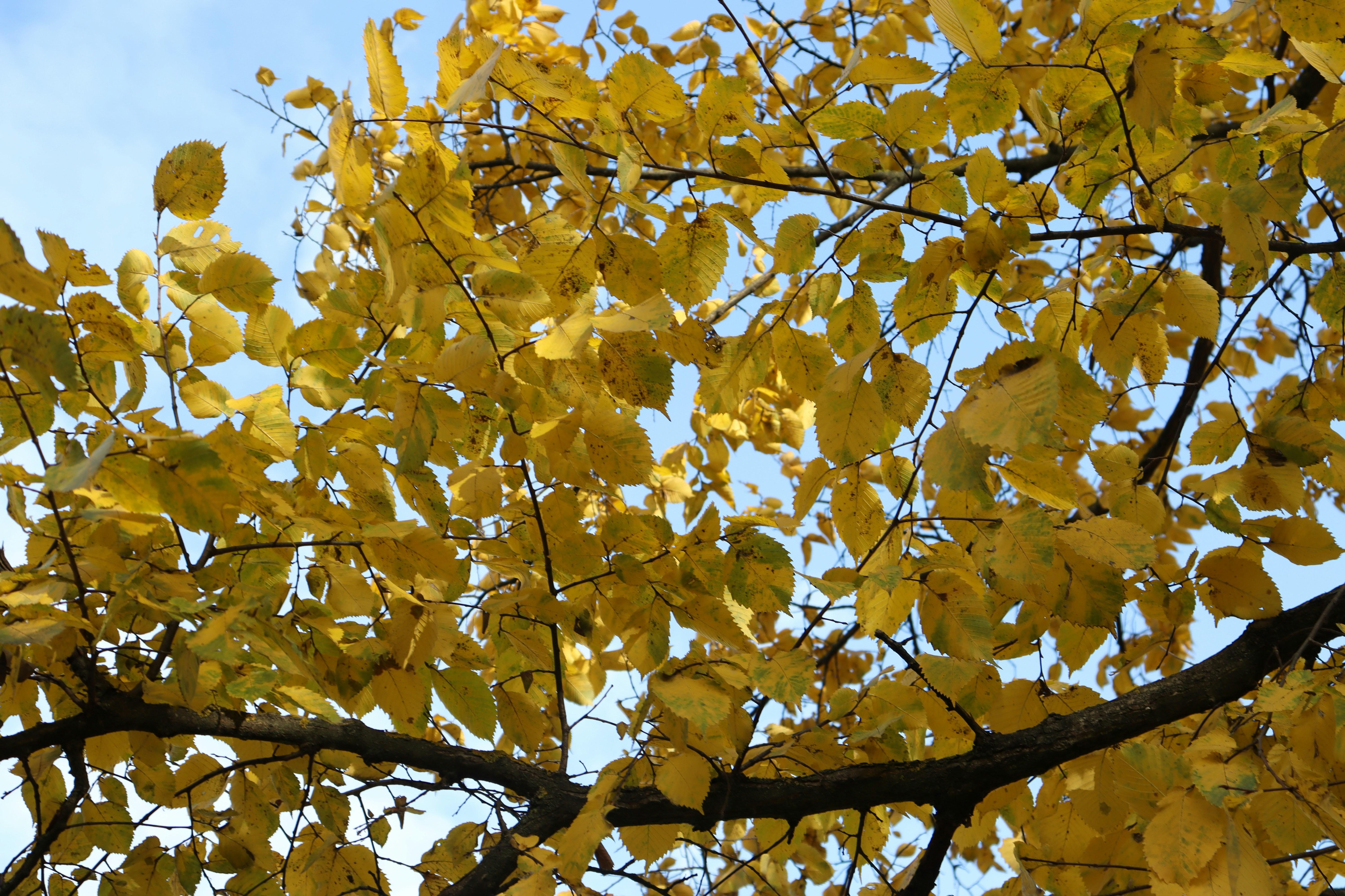 Photo by bored_mongoose