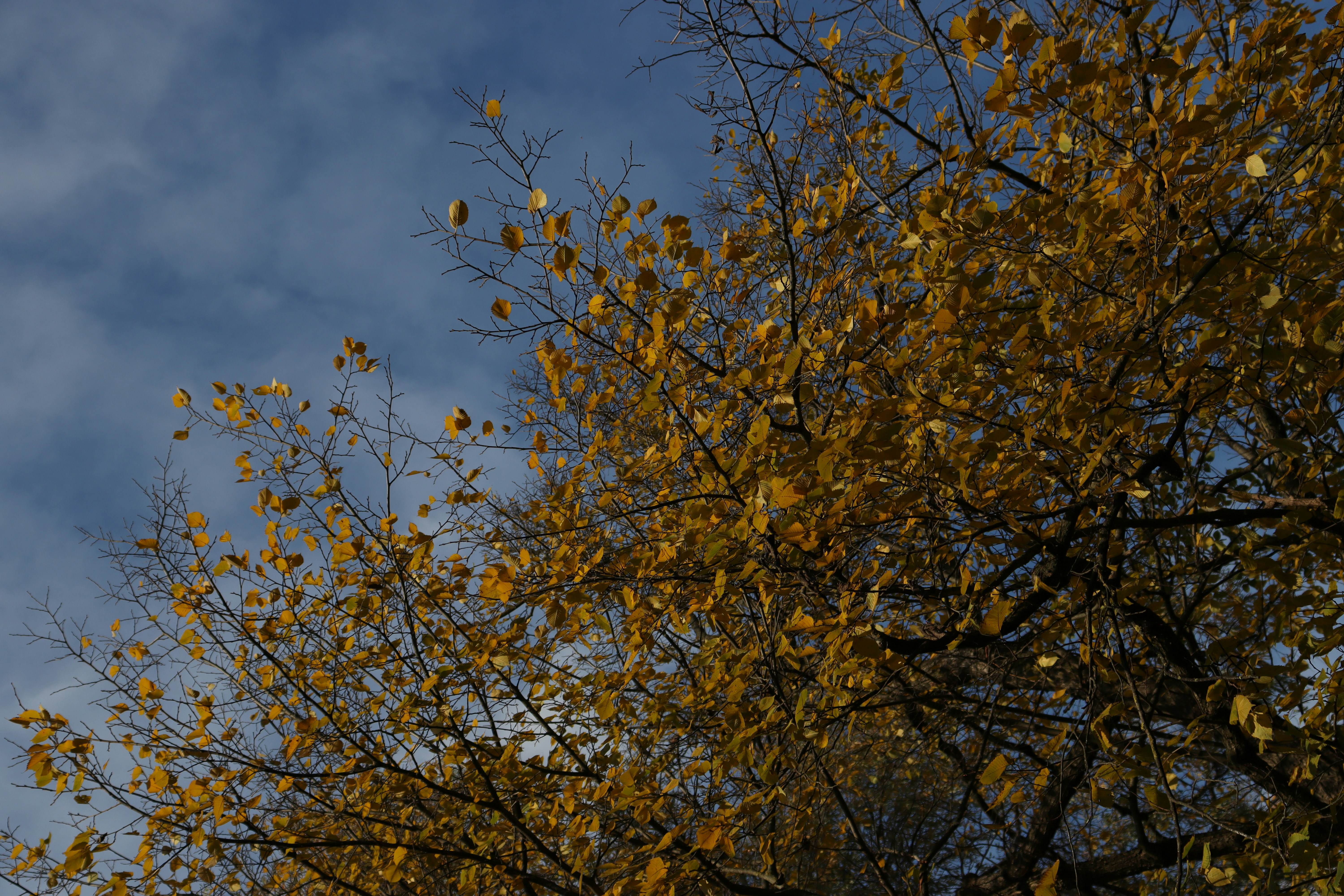 Photo by bored_mongoose