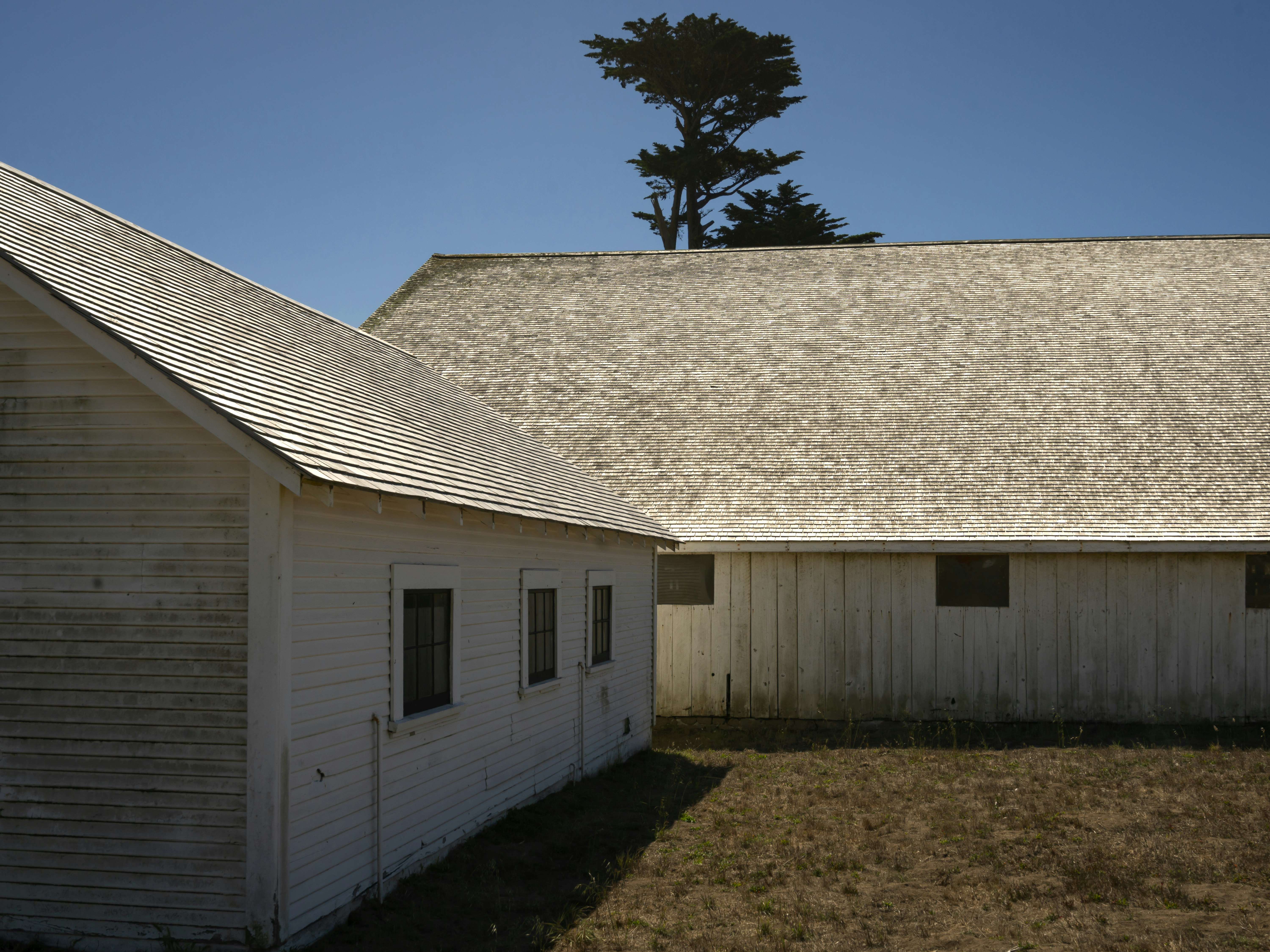 A white barn with a tree in the background