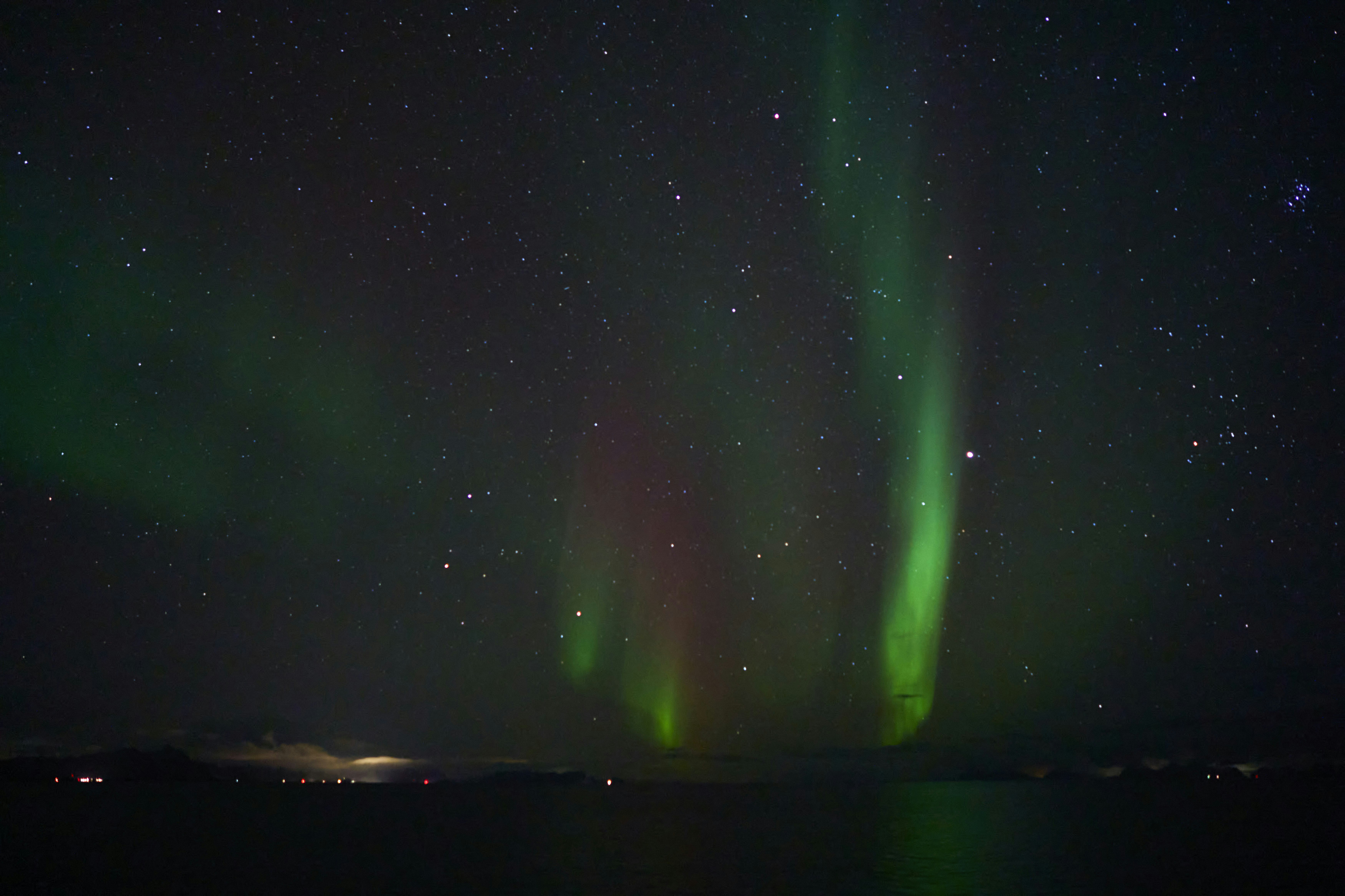 Photo by wolfgang_hasselmann