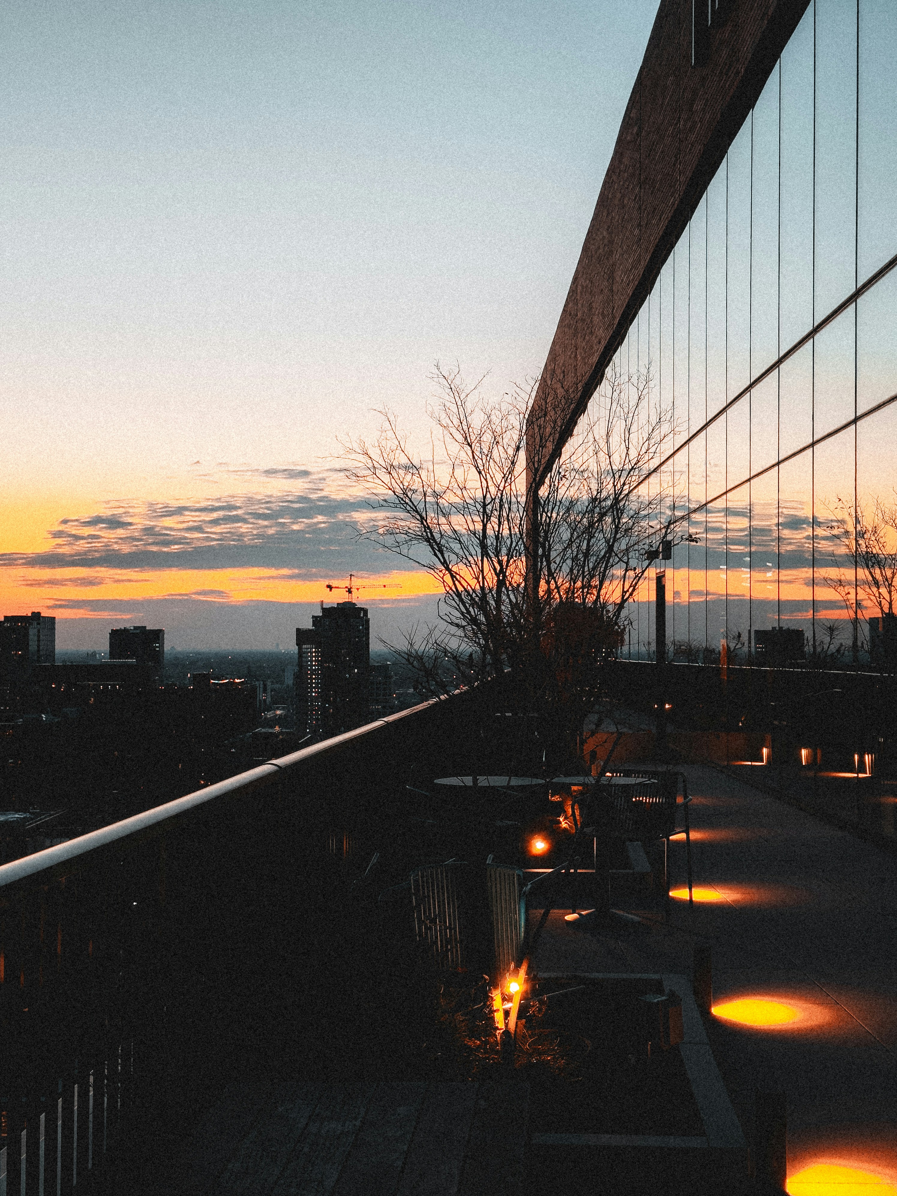 Photo by allenboguslavsky