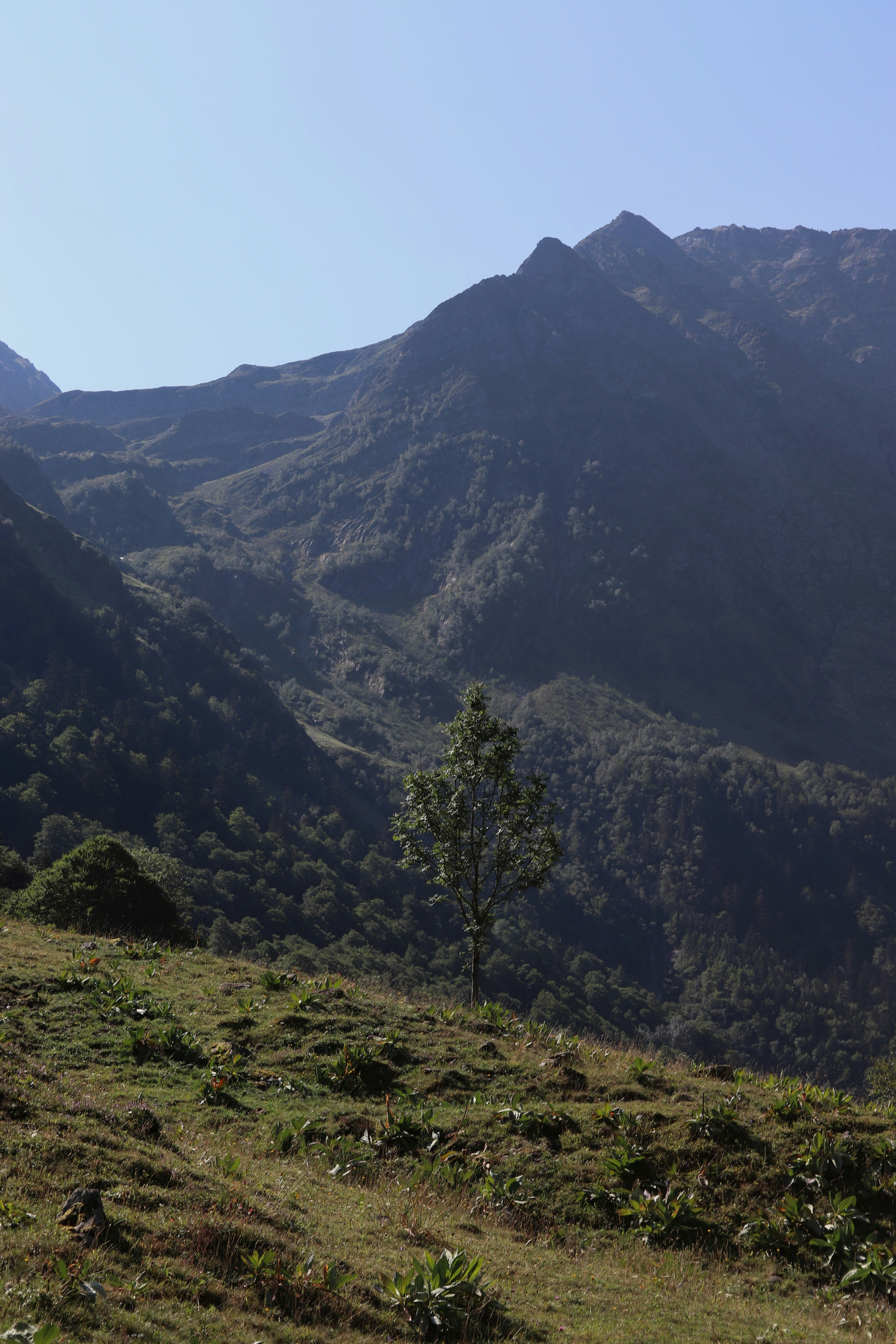 Photo by albacalbeto