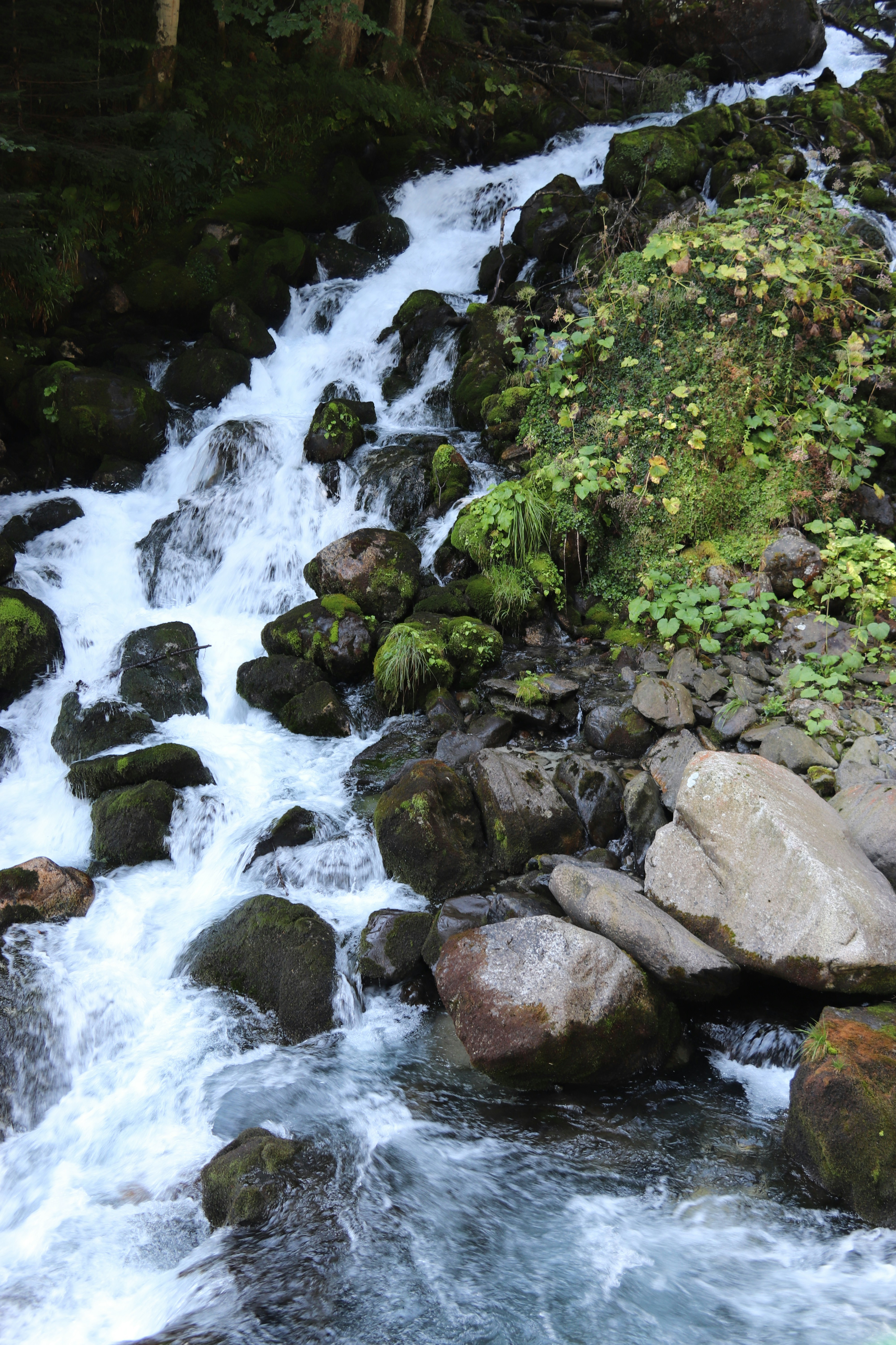 Photo by albacalbeto