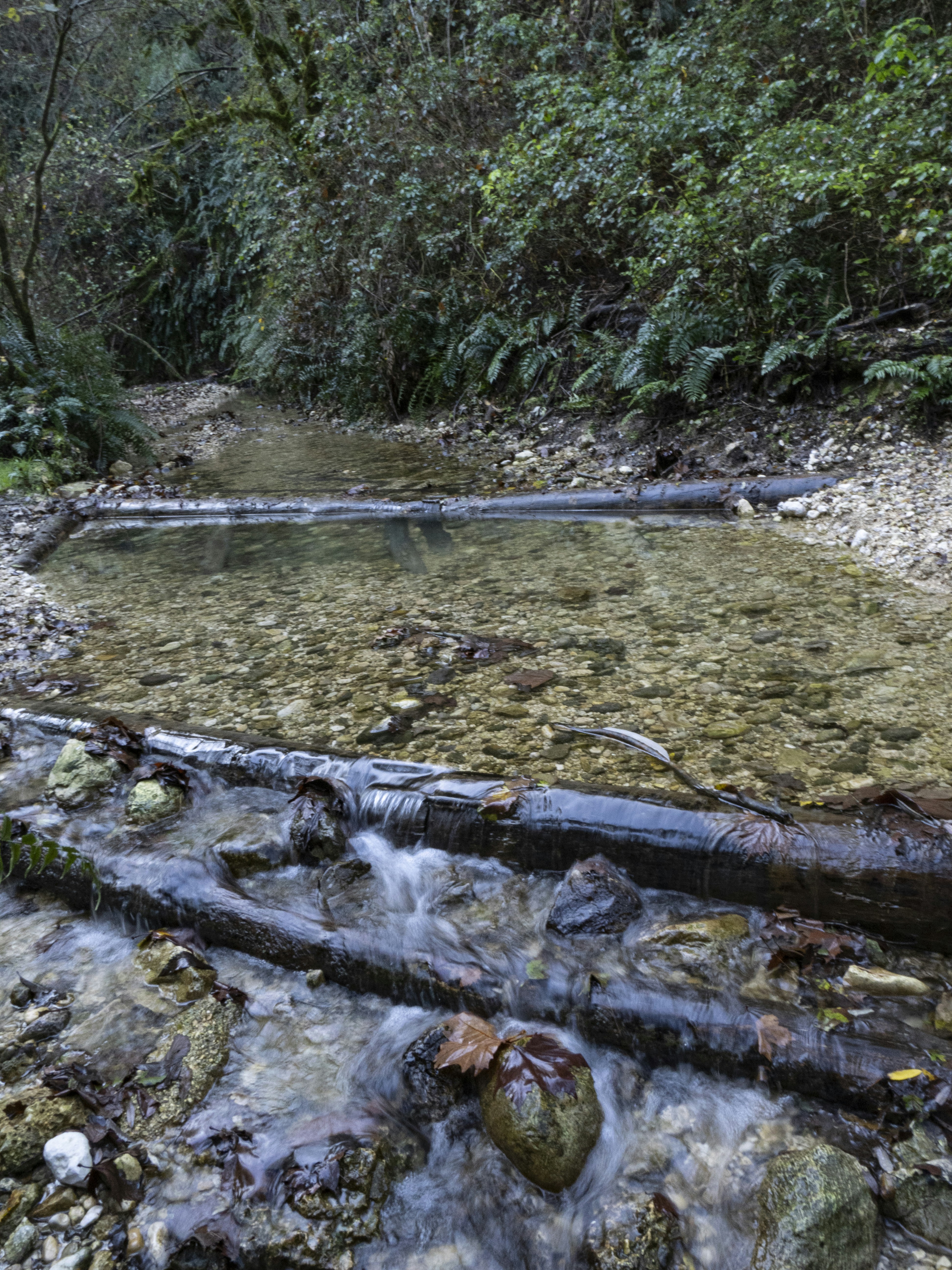 Photo by gopitri_prem