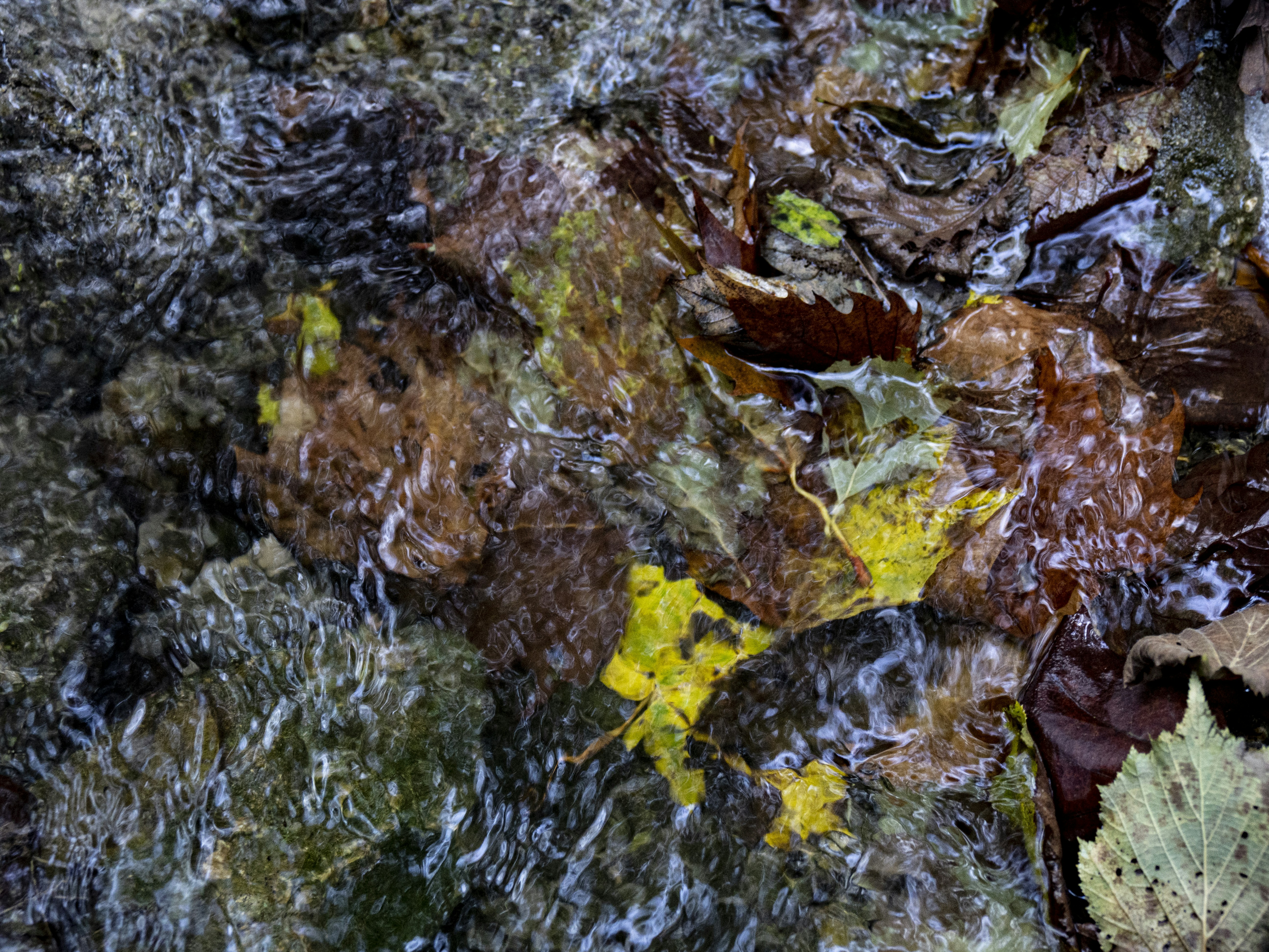 Photo by gopitri_prem