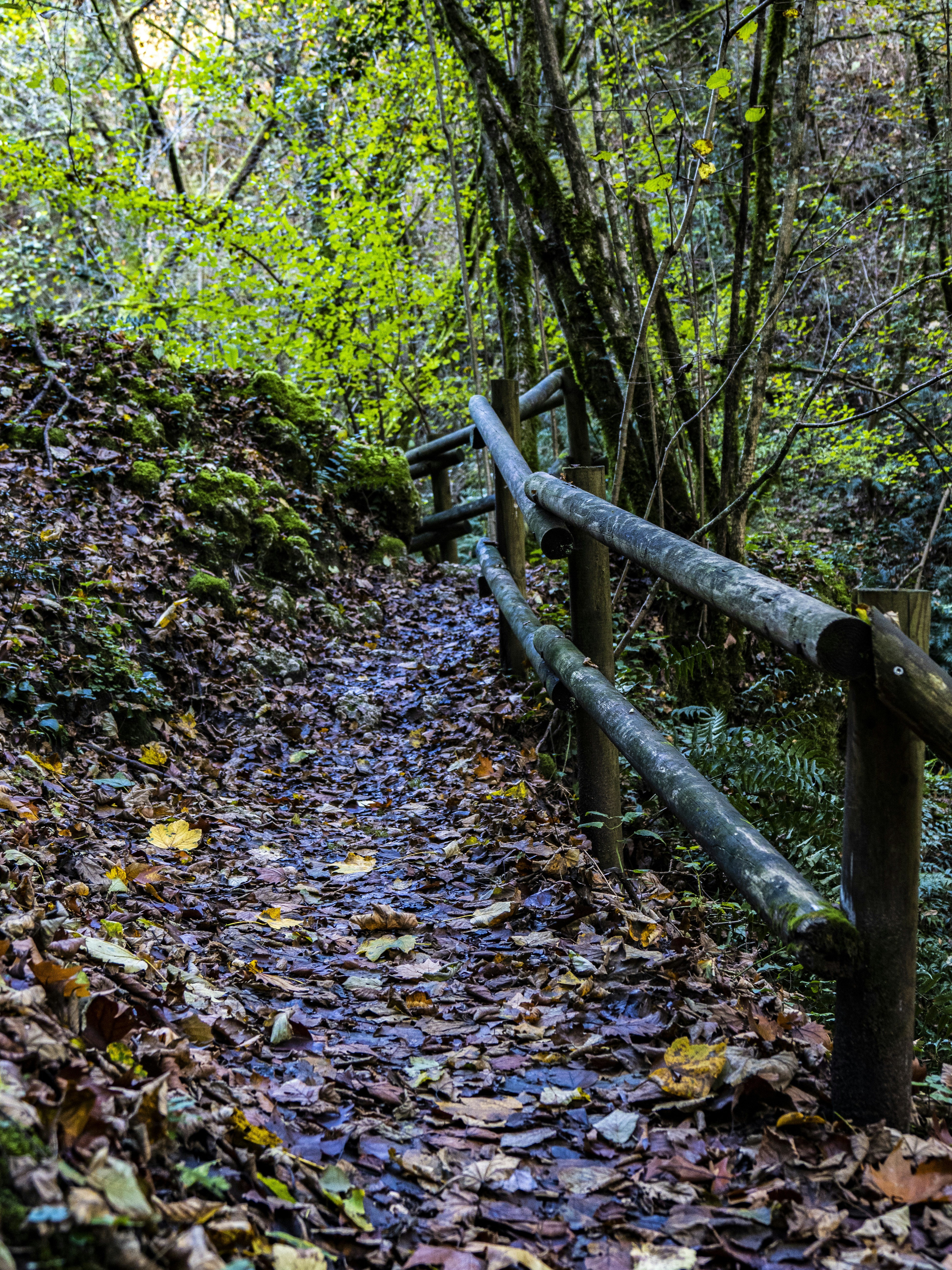 Photo by gopitri_prem