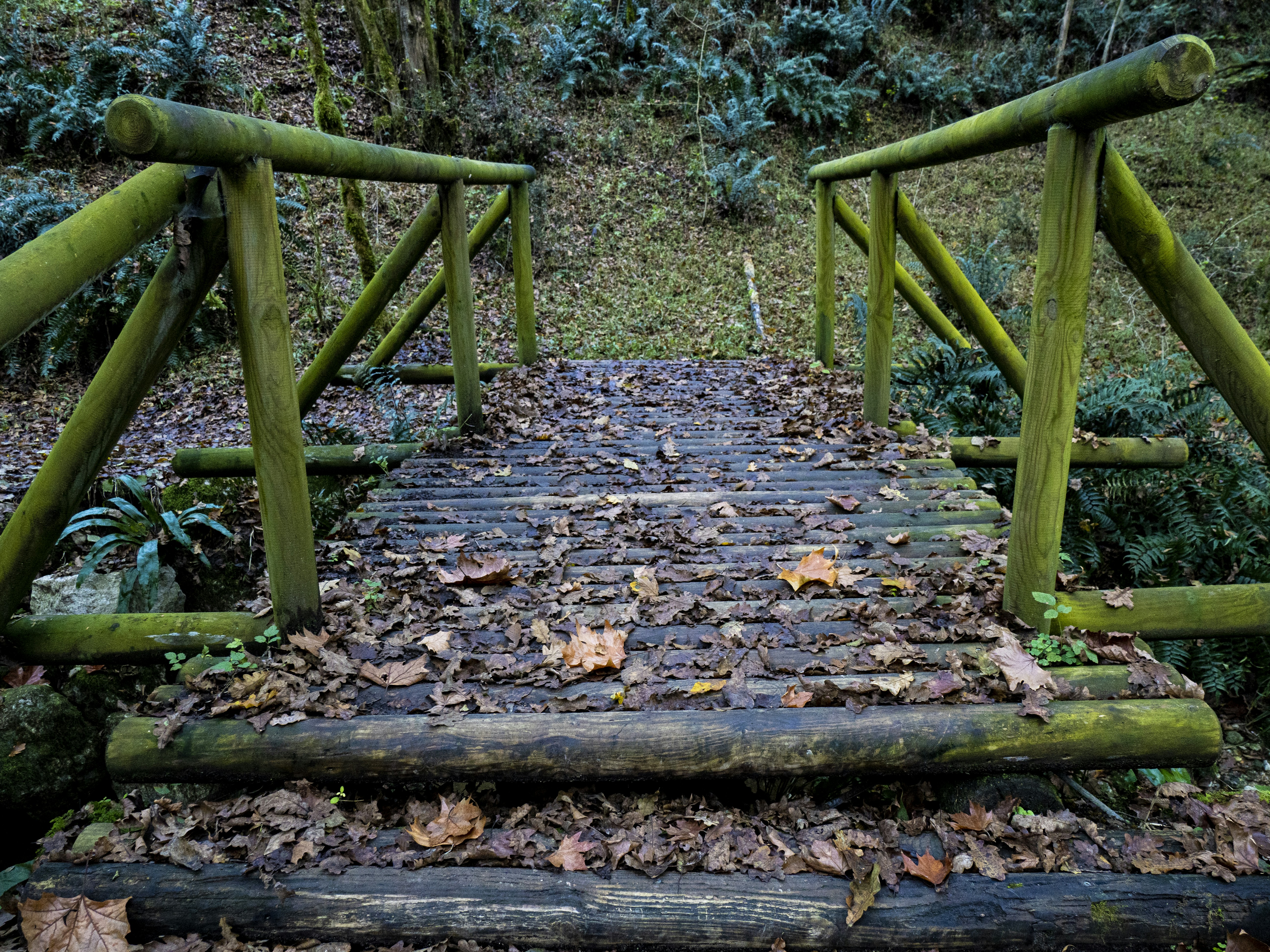 Photo by gopitri_prem