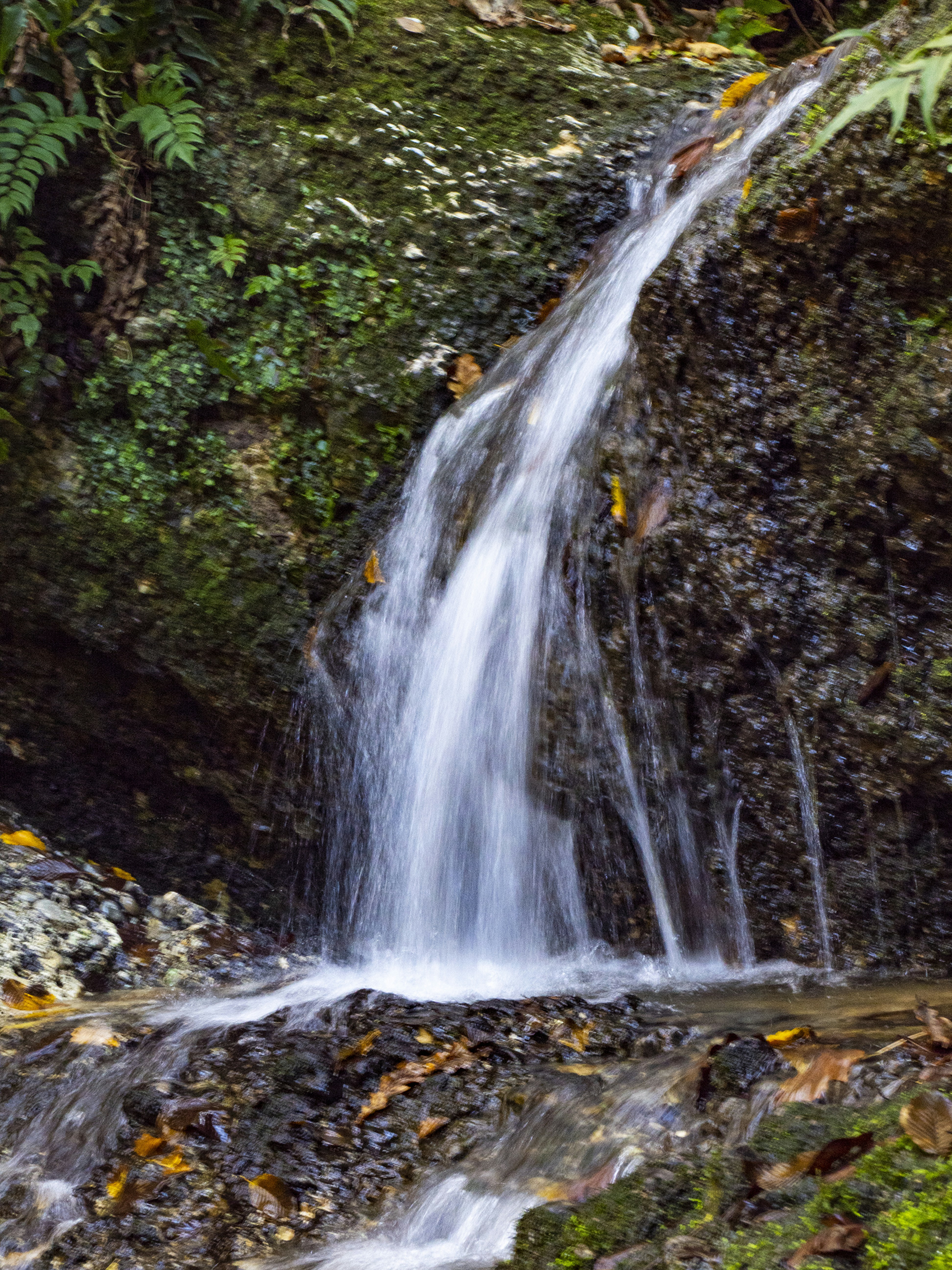 Photo by gopitri_prem