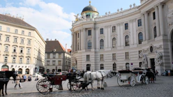 A horse drawn carriage in front of a large building